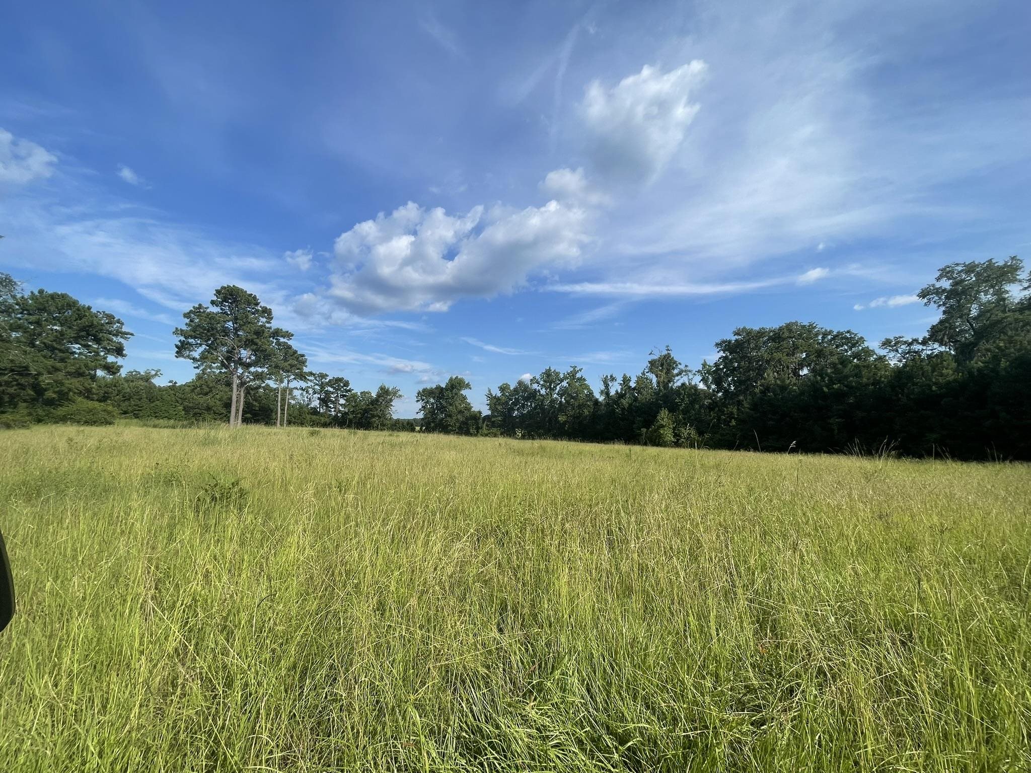 3439 Fla-ga Highway, Havana, Florida image 2