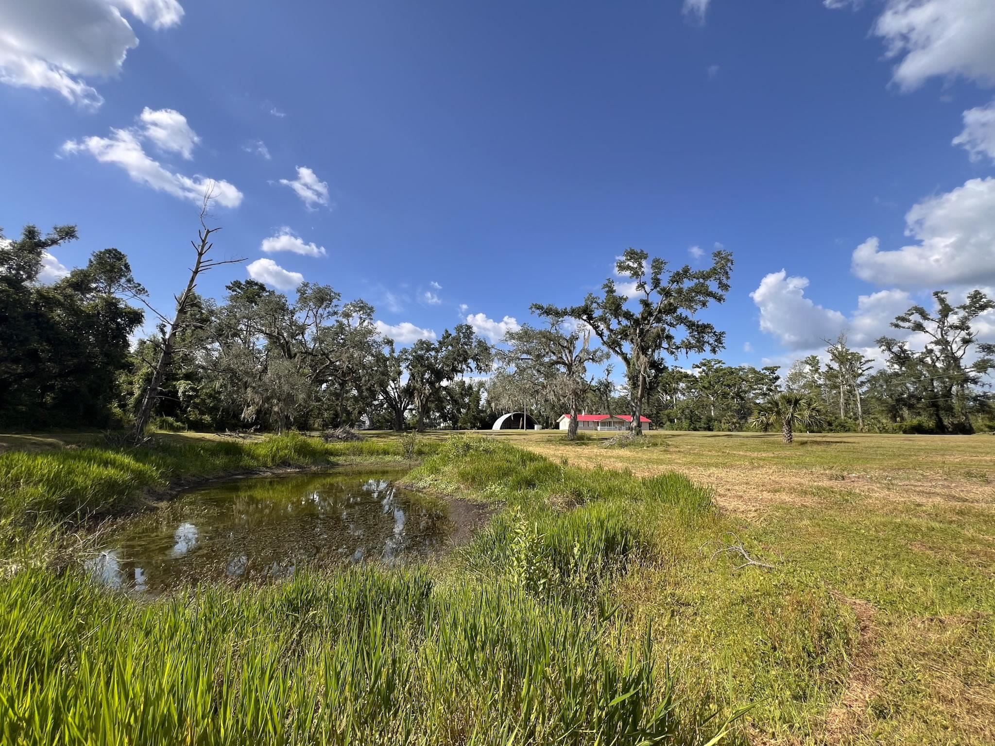 2048 W Gas Plant Road, Perry, Florida image 39