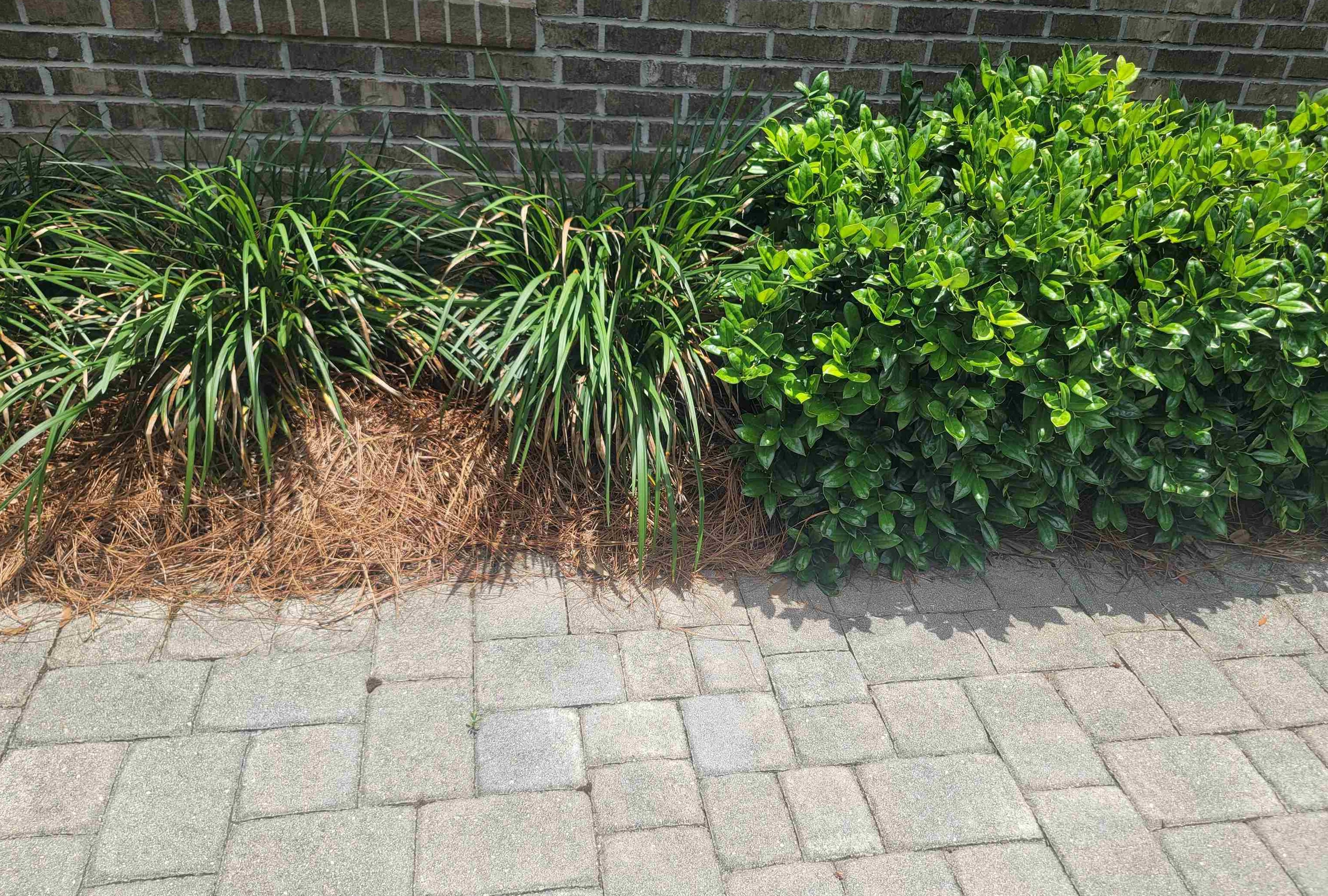 5731 Farnsworth Drive, Tallahassee, Florida image 35