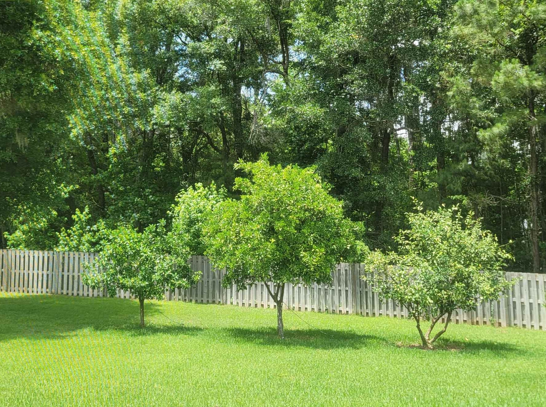 5731 Farnsworth Drive, Tallahassee, Florida image 45