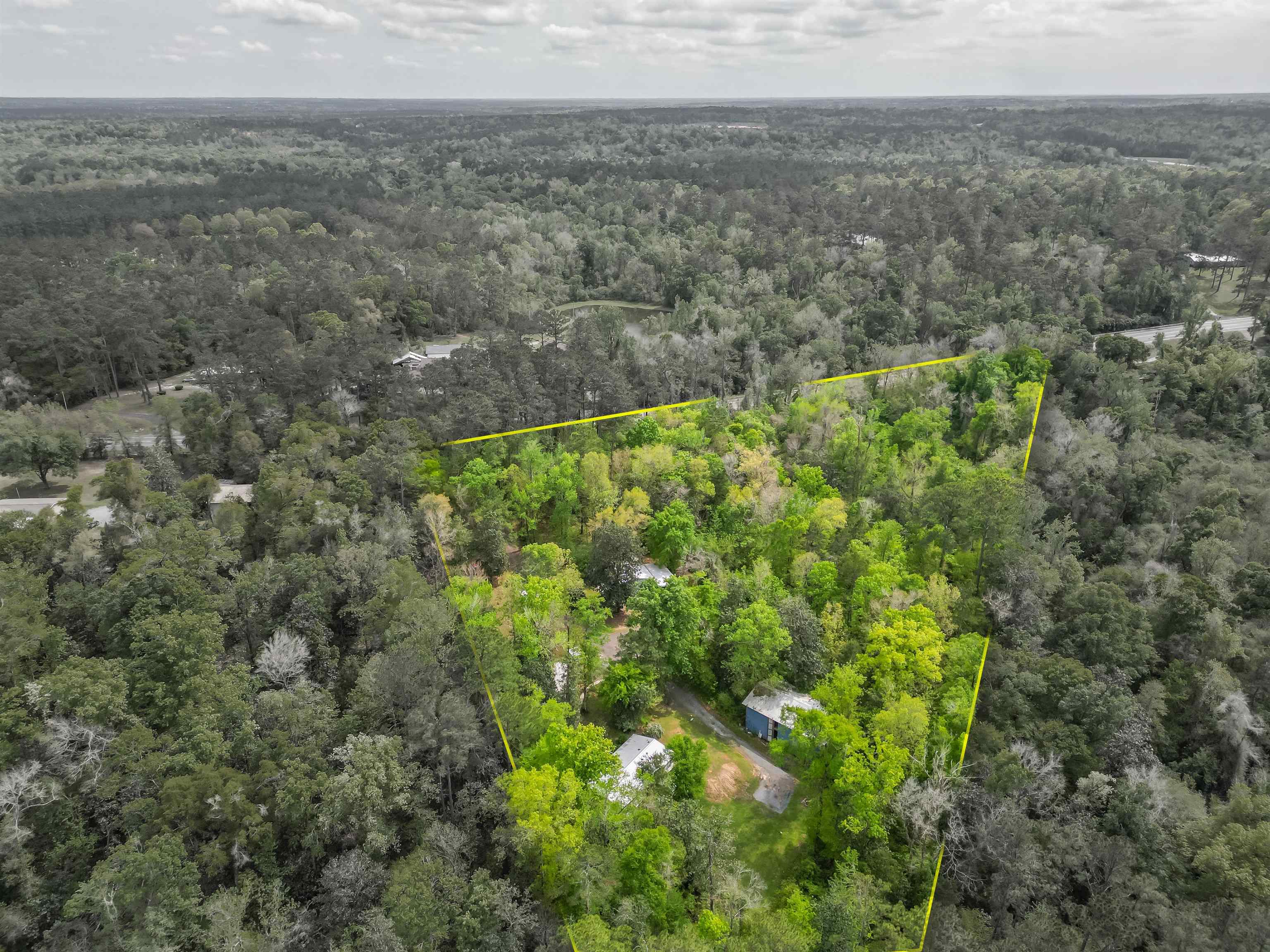 451 Havana Highway #-, Quincy, Florida image 2