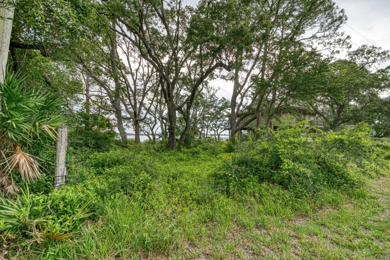 175 Harbor Circle, Alligator Point, Florida image 1