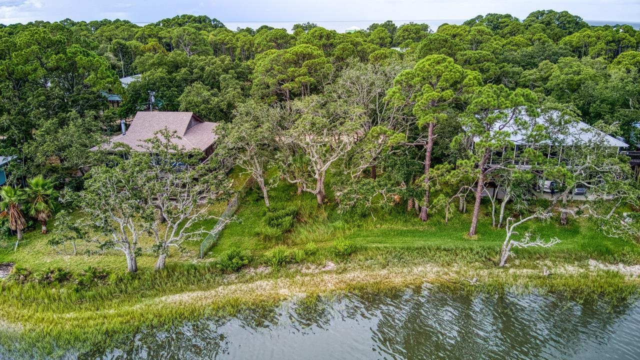 175 Harbor Circle, Alligator Point, Florida image 2