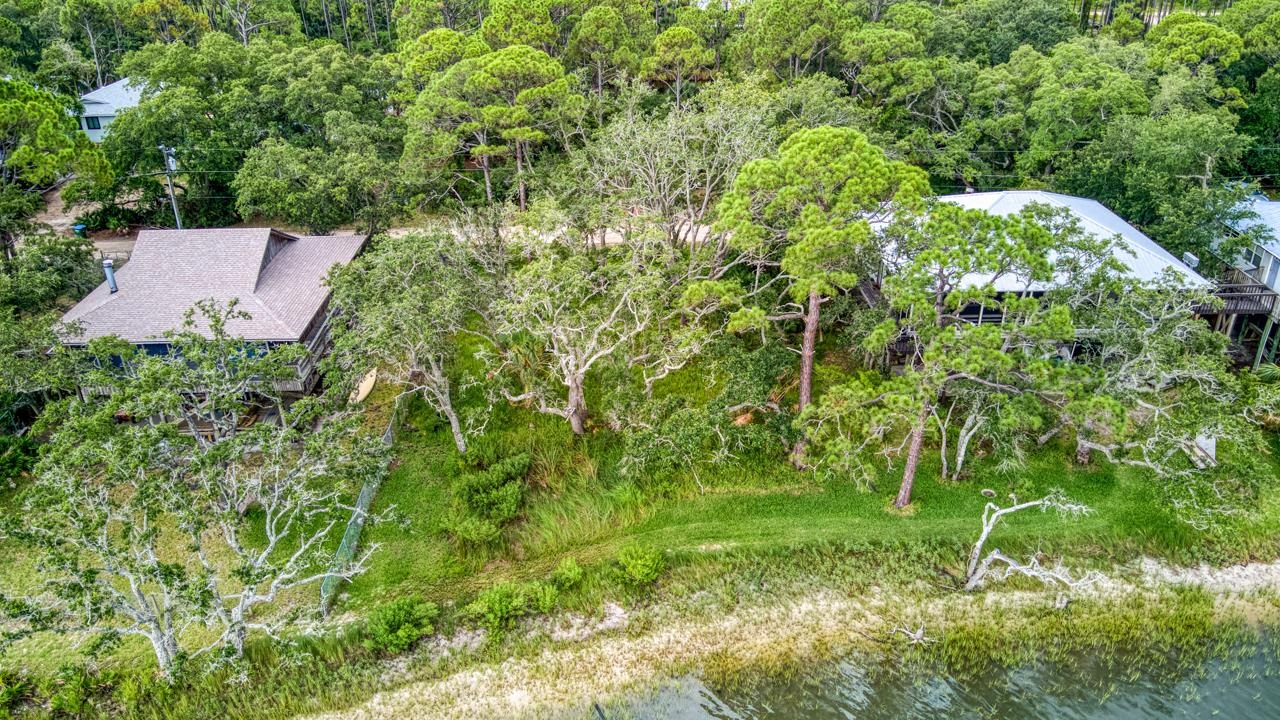 175 Harbor Circle, Alligator Point, Florida image 3