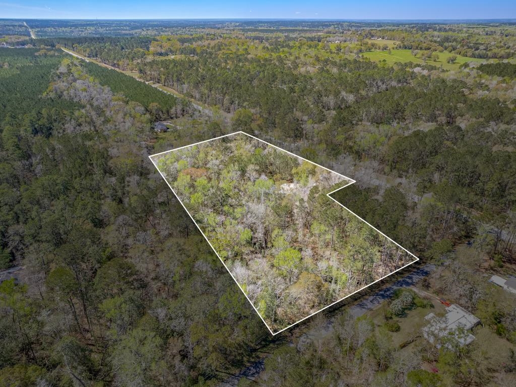 4081 Gamble Road, Monticello, Florida image 7
