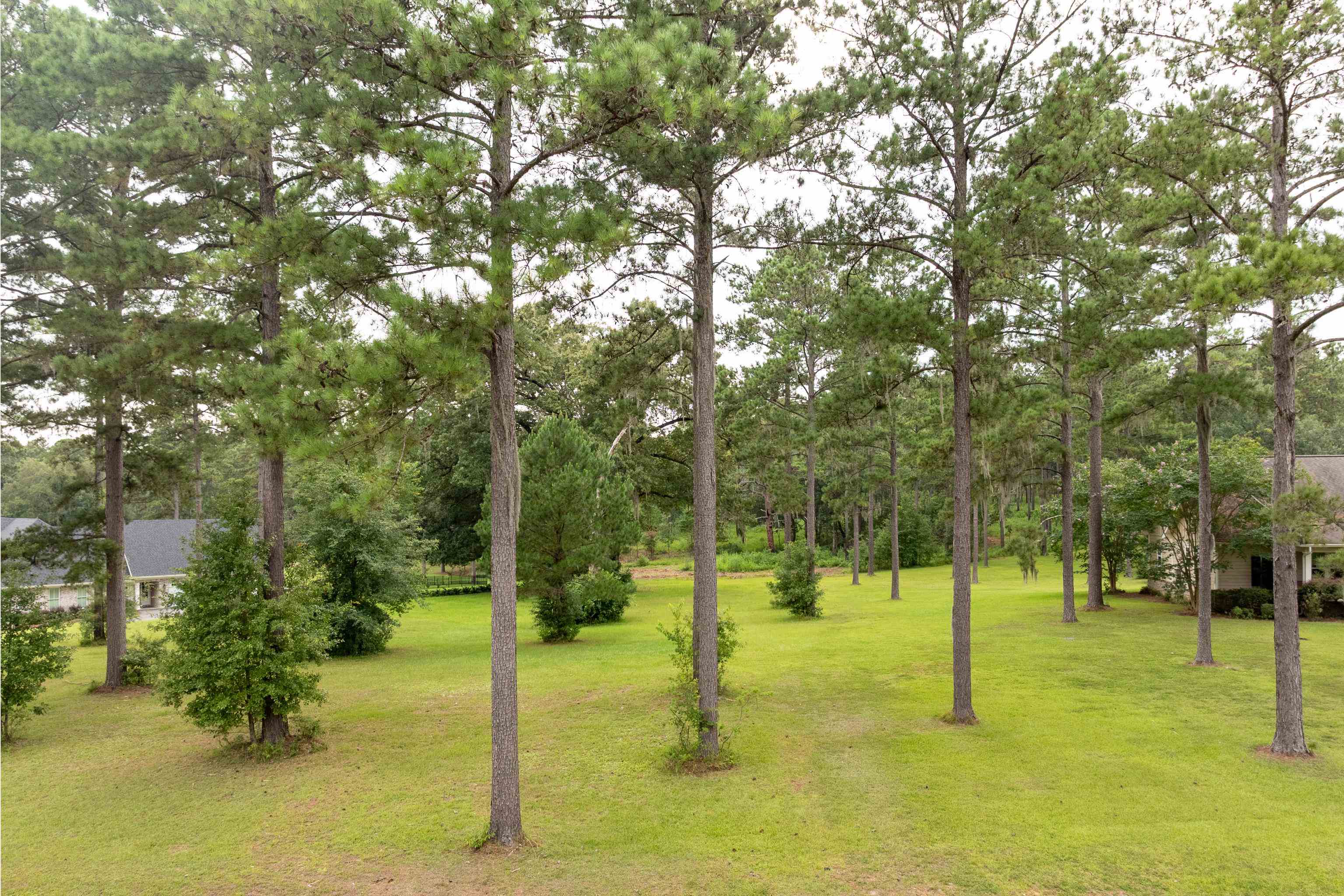 Lake Pisgah Drive, Tallahassee, Florida image 3