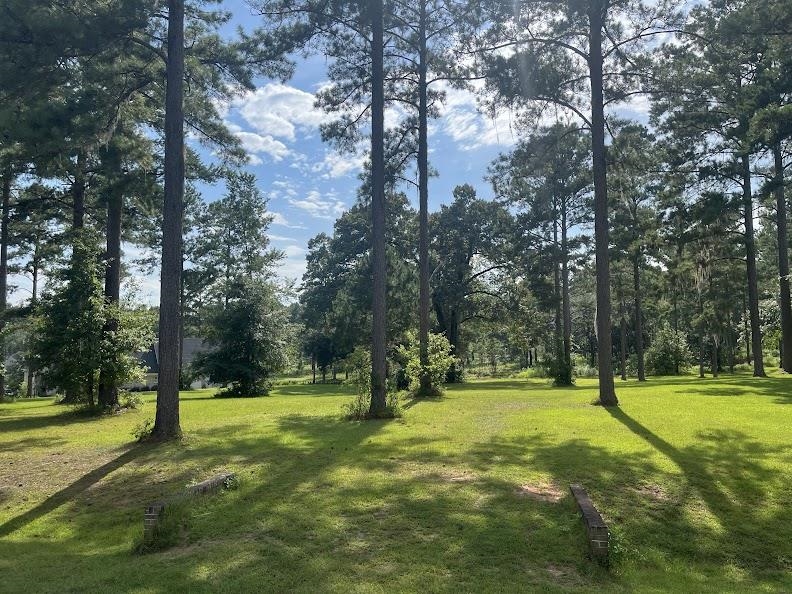 Lake Pisgah Drive, Tallahassee, Florida image 4