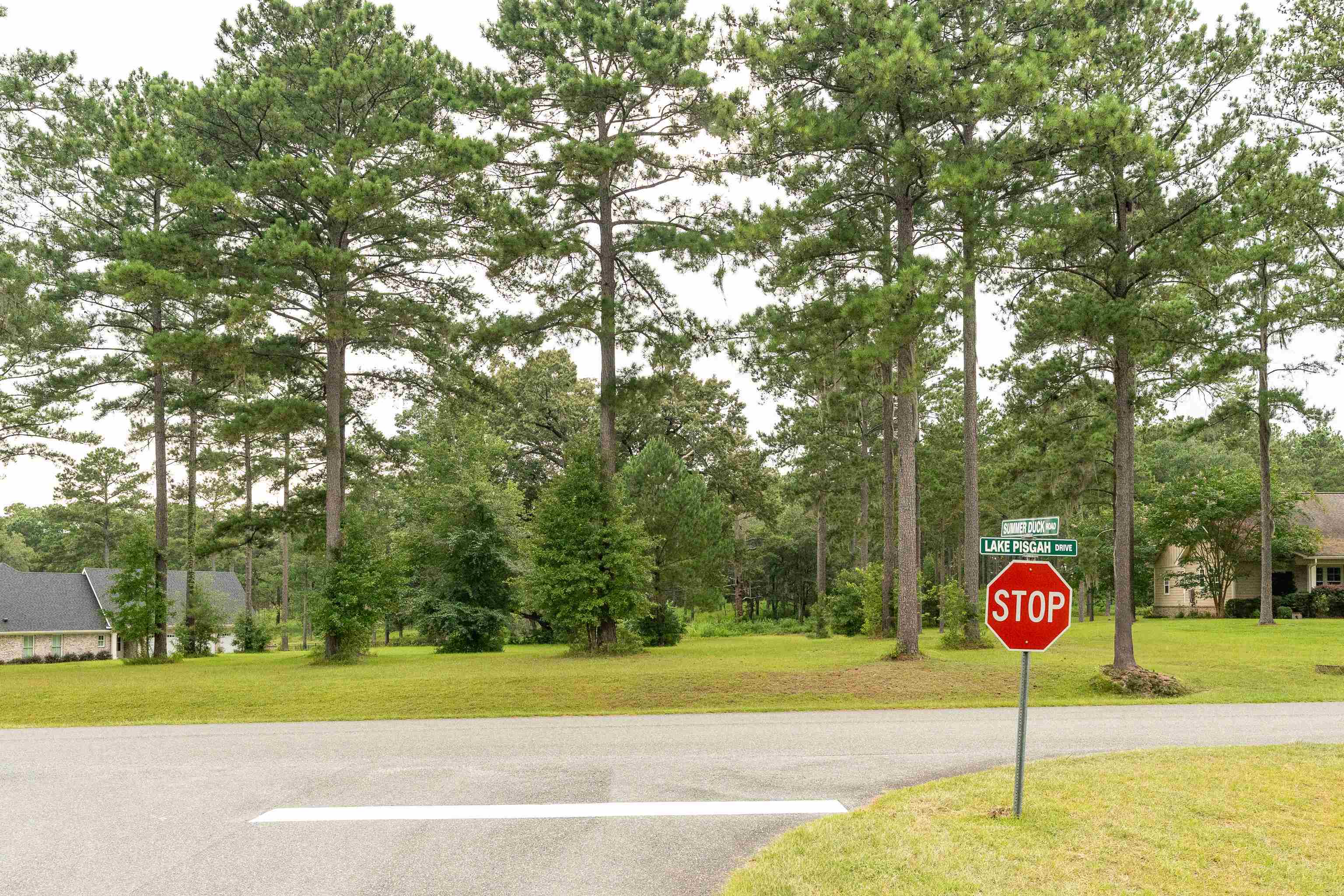 Lake Pisgah Drive, Tallahassee, Florida image 7