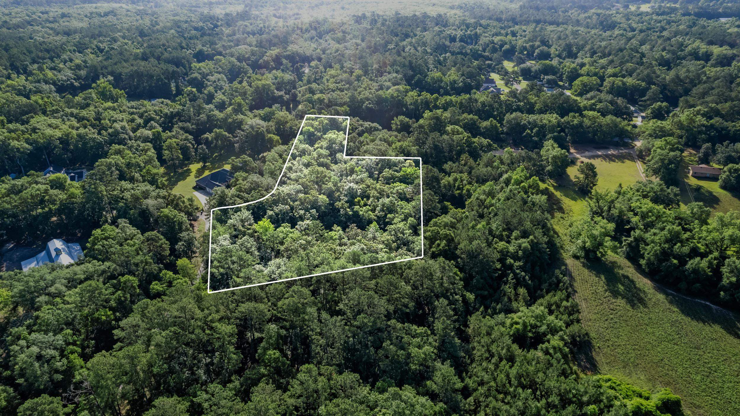 Jomaureen Way, Tallahassee, Florida image 14