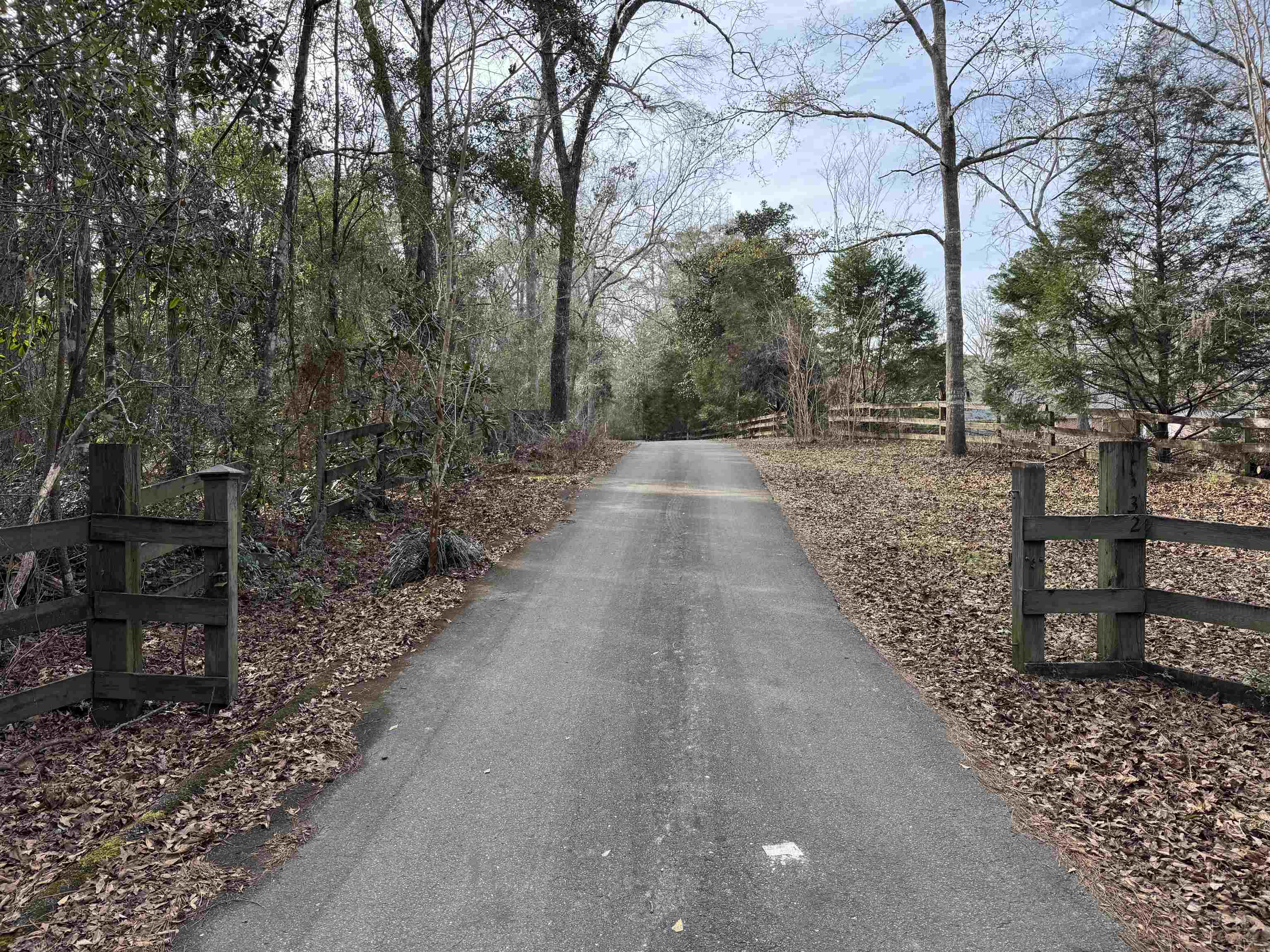 Jomaureen Way, Tallahassee, Florida image 17