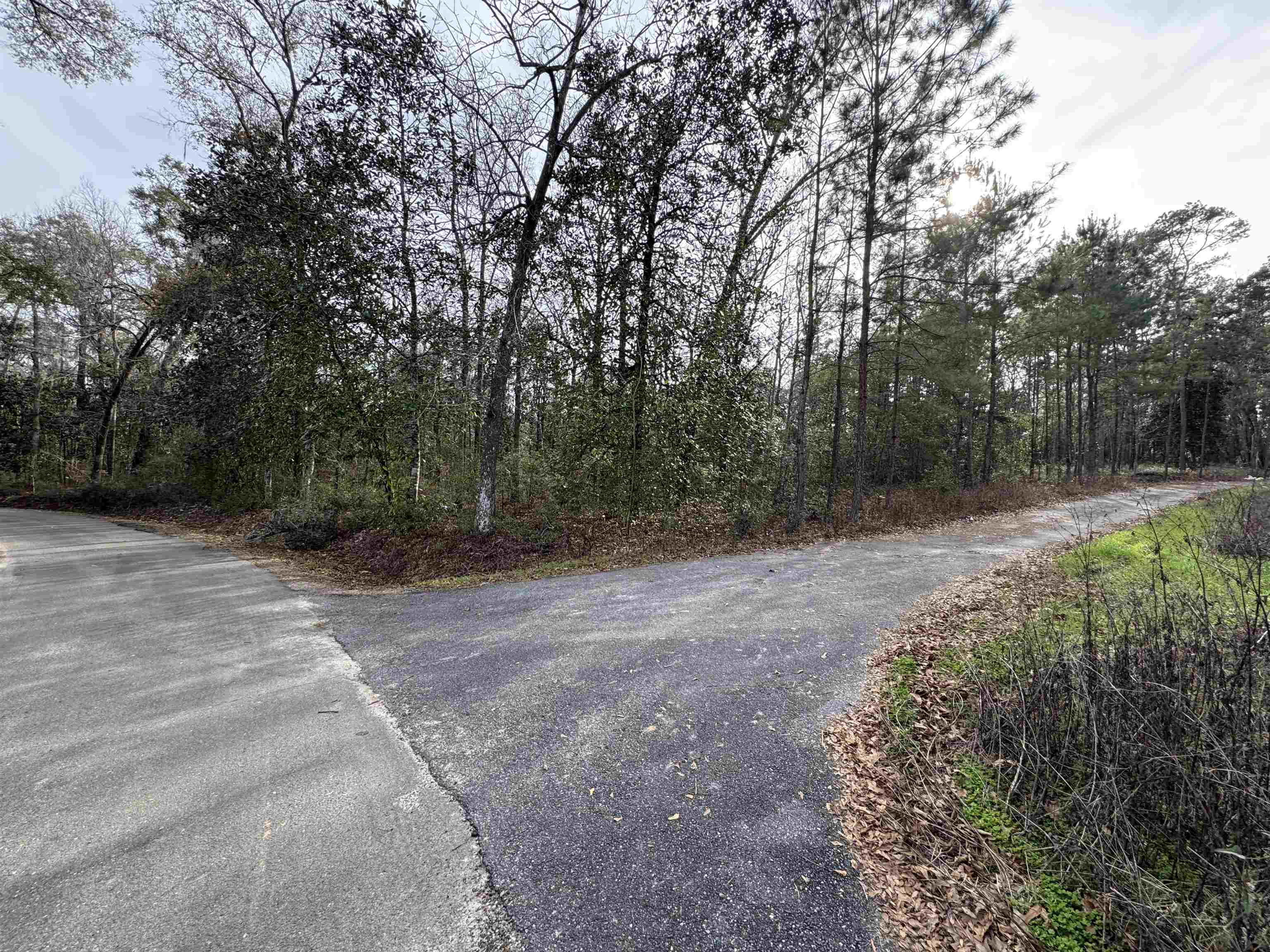 Jomaureen Way, Tallahassee, Florida image 20