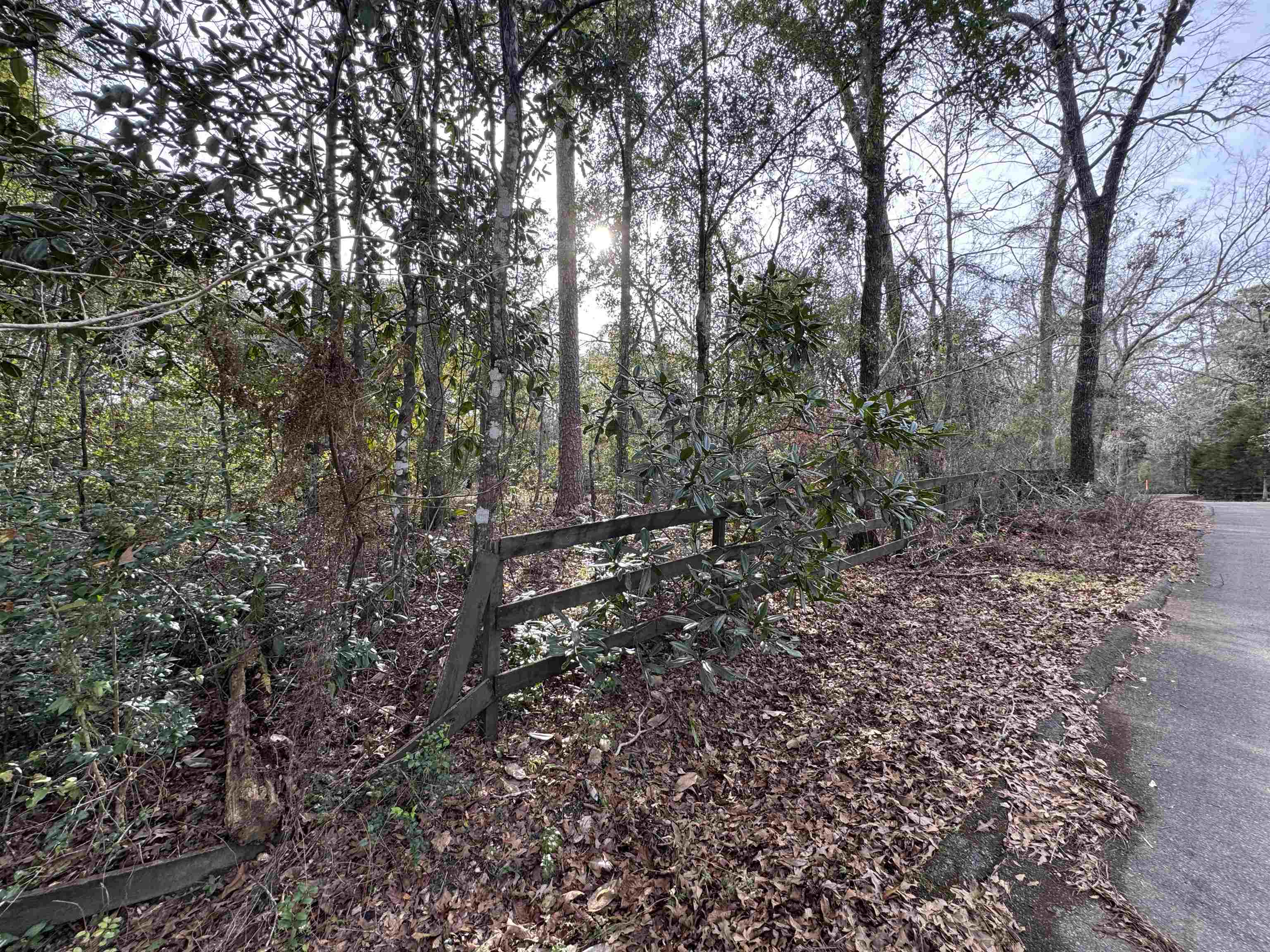 Jomaureen Way, Tallahassee, Florida image 29