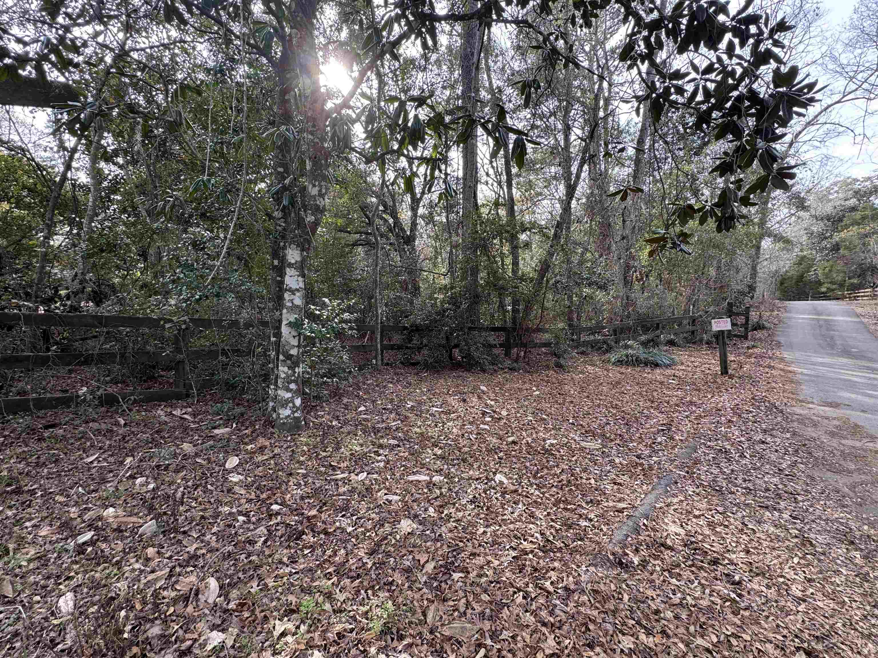 Jomaureen Way, Tallahassee, Florida image 30