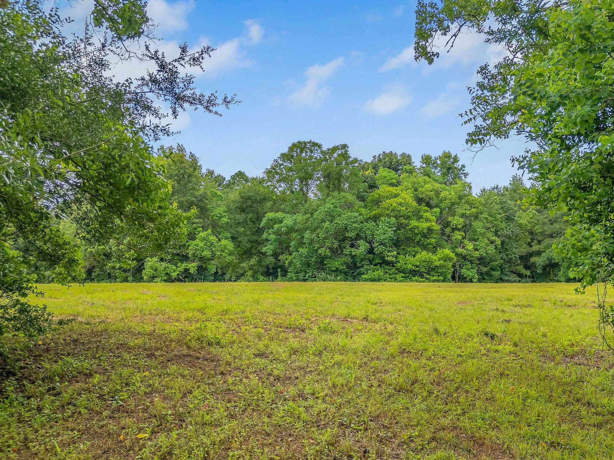 TBD Quail Valley Road, Tallahassee, Florida image 11