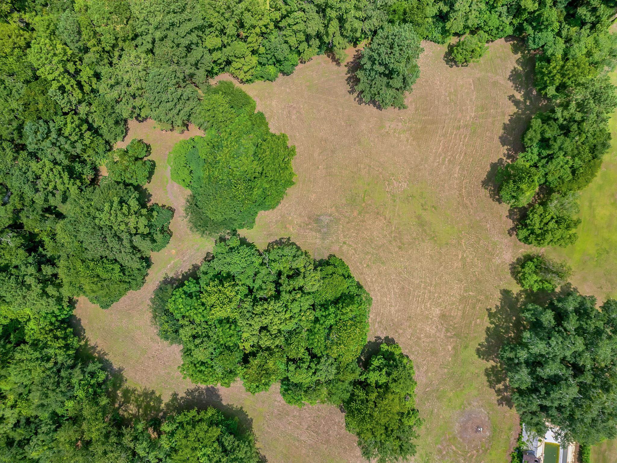 TBD Quail Valley Road, Tallahassee, Florida image 4