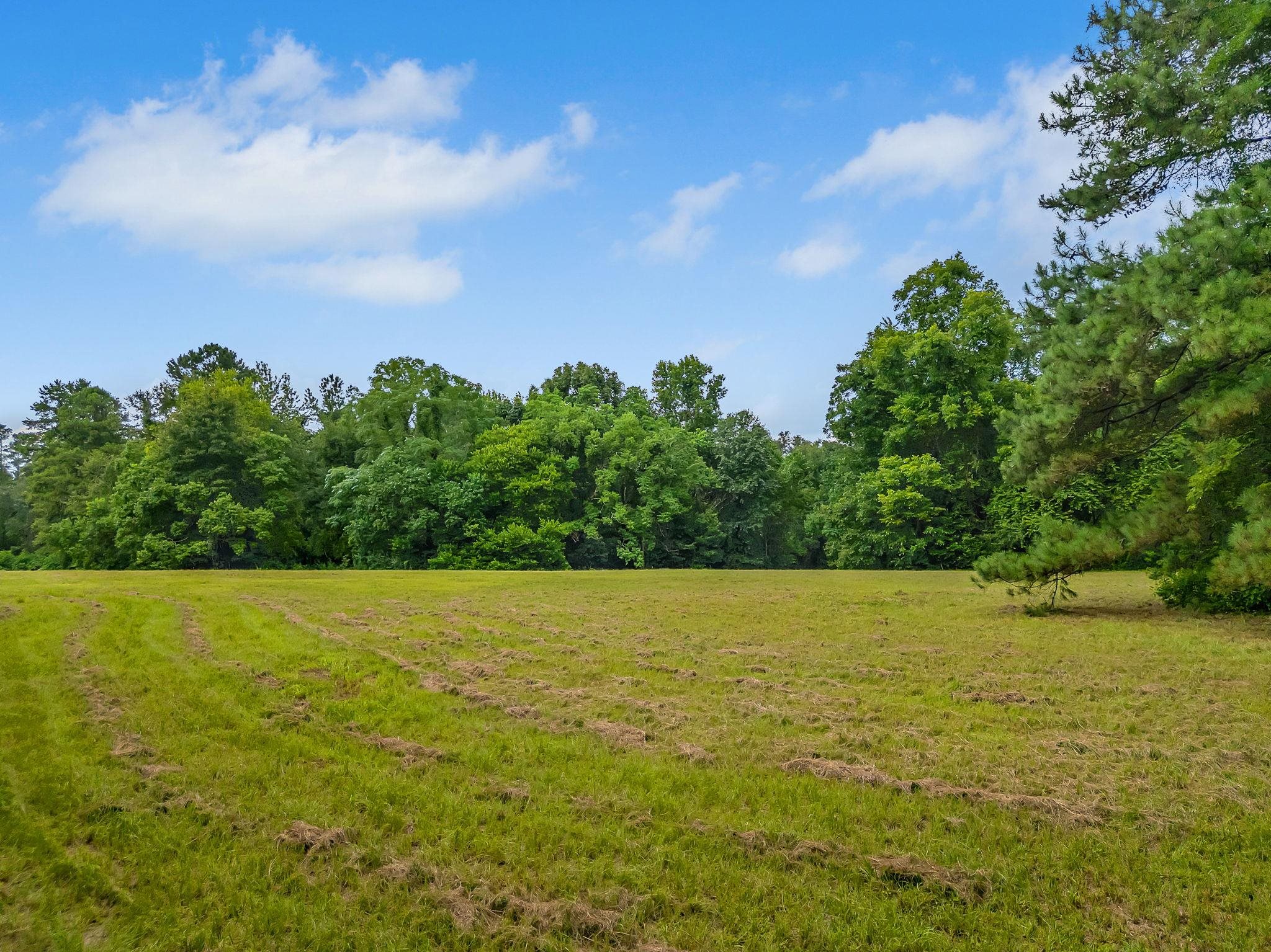 TBD Quail Valley Road, Tallahassee, Florida image 7