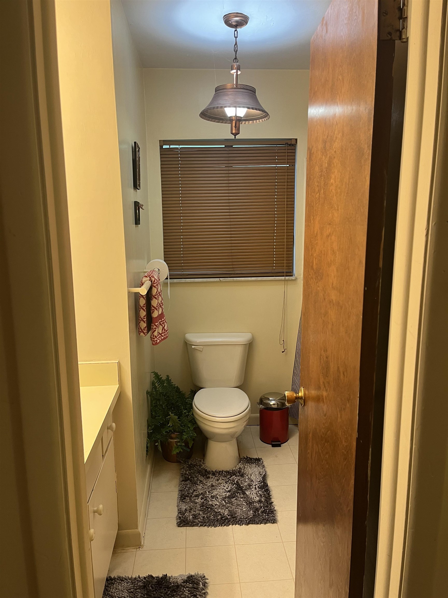 3010 Southshore Circle, Tallahassee, Florida image 18