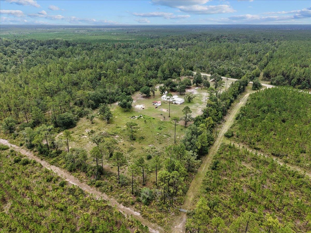 4968 Courtney Grade Road, Perry, Florida image 43