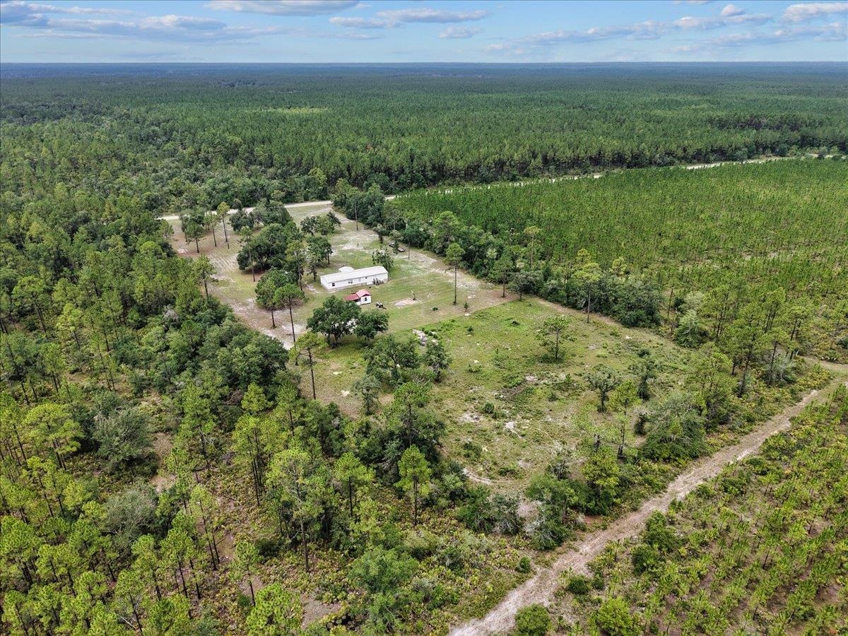 4968 Courtney Grade Road, Perry, Florida image 44