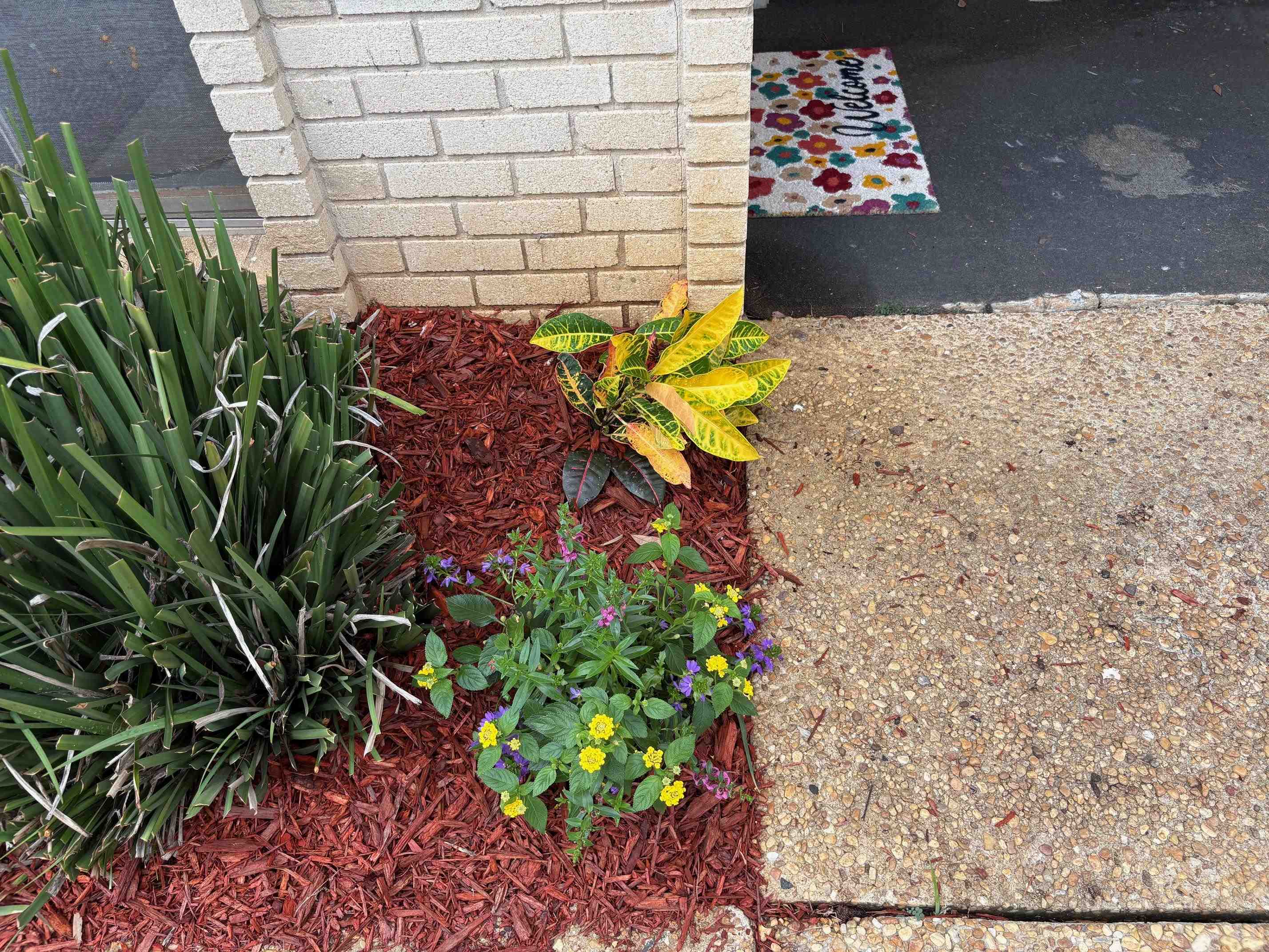 2020 Continental Avenue #120, Tallahassee, Florida image 2