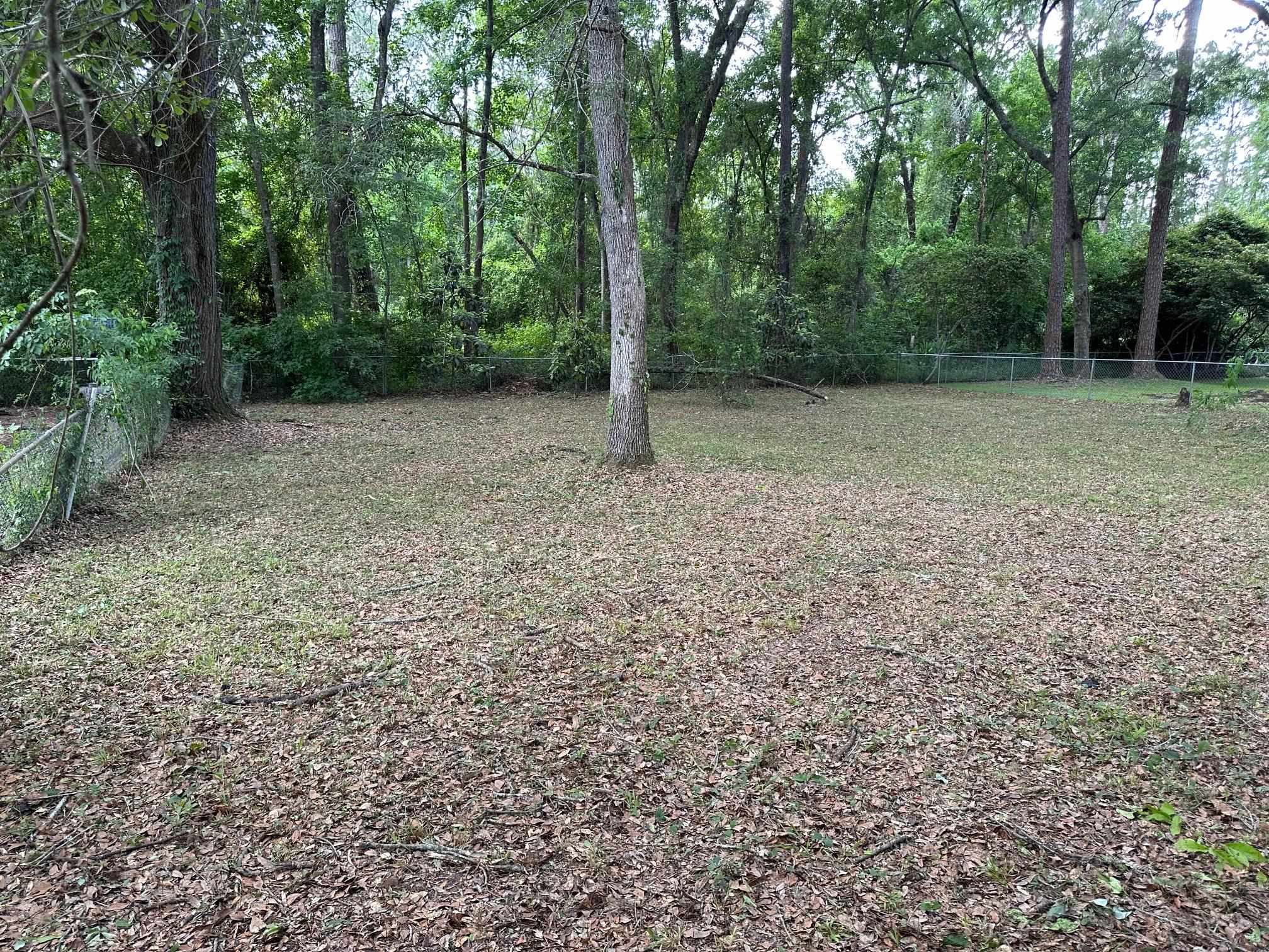 5680 Doonesbury Way Drive, Tallahassee, Florida image 12