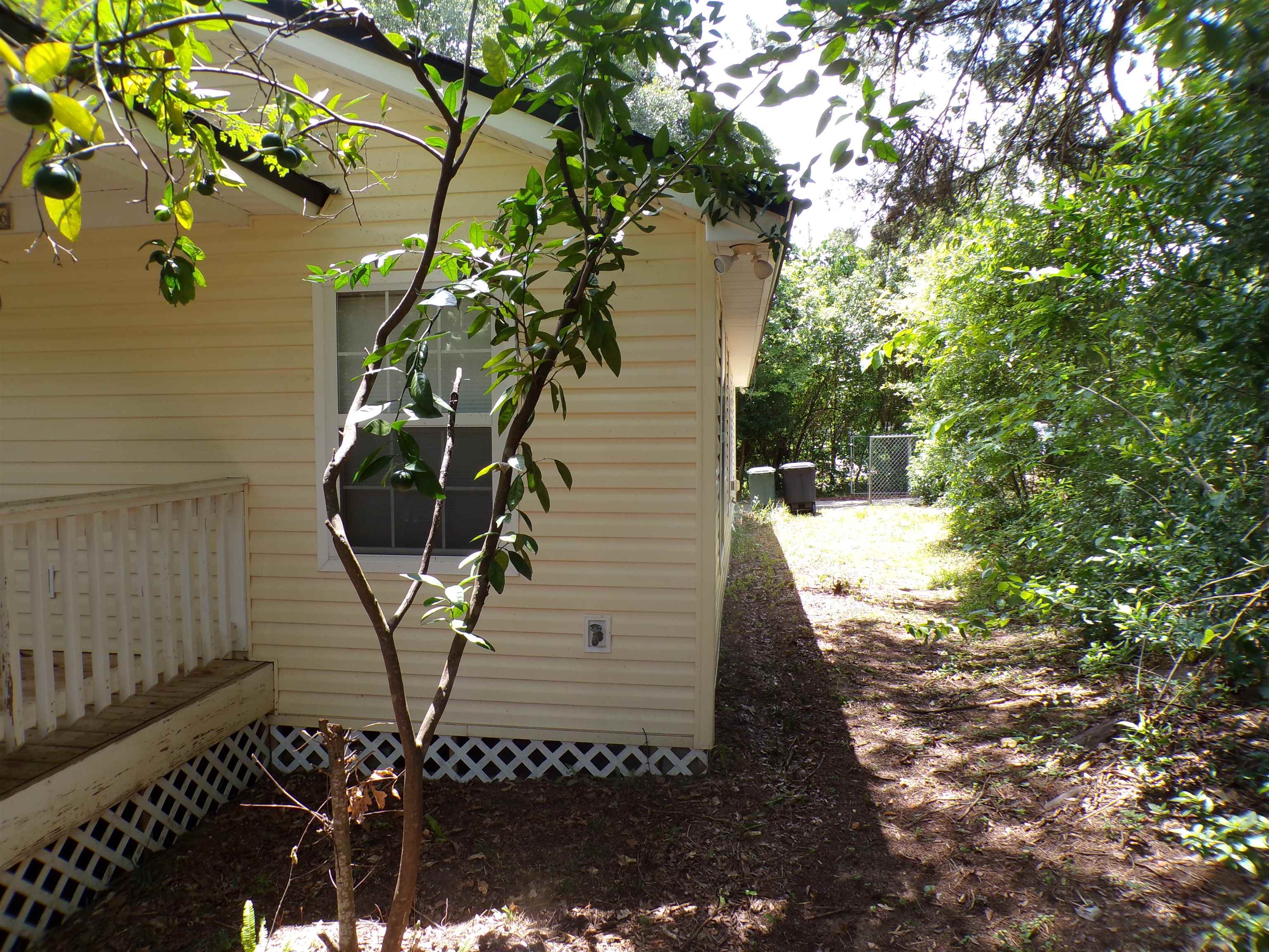 1336 Gibbs Drive, Tallahassee, Florida image 3