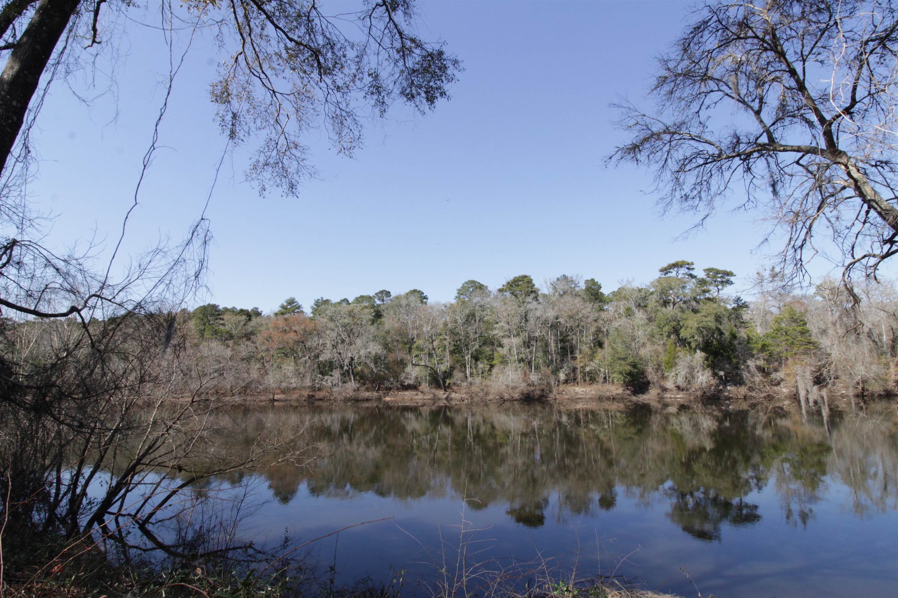 4866 Crooked Road, Tallahassee, Florida image 4