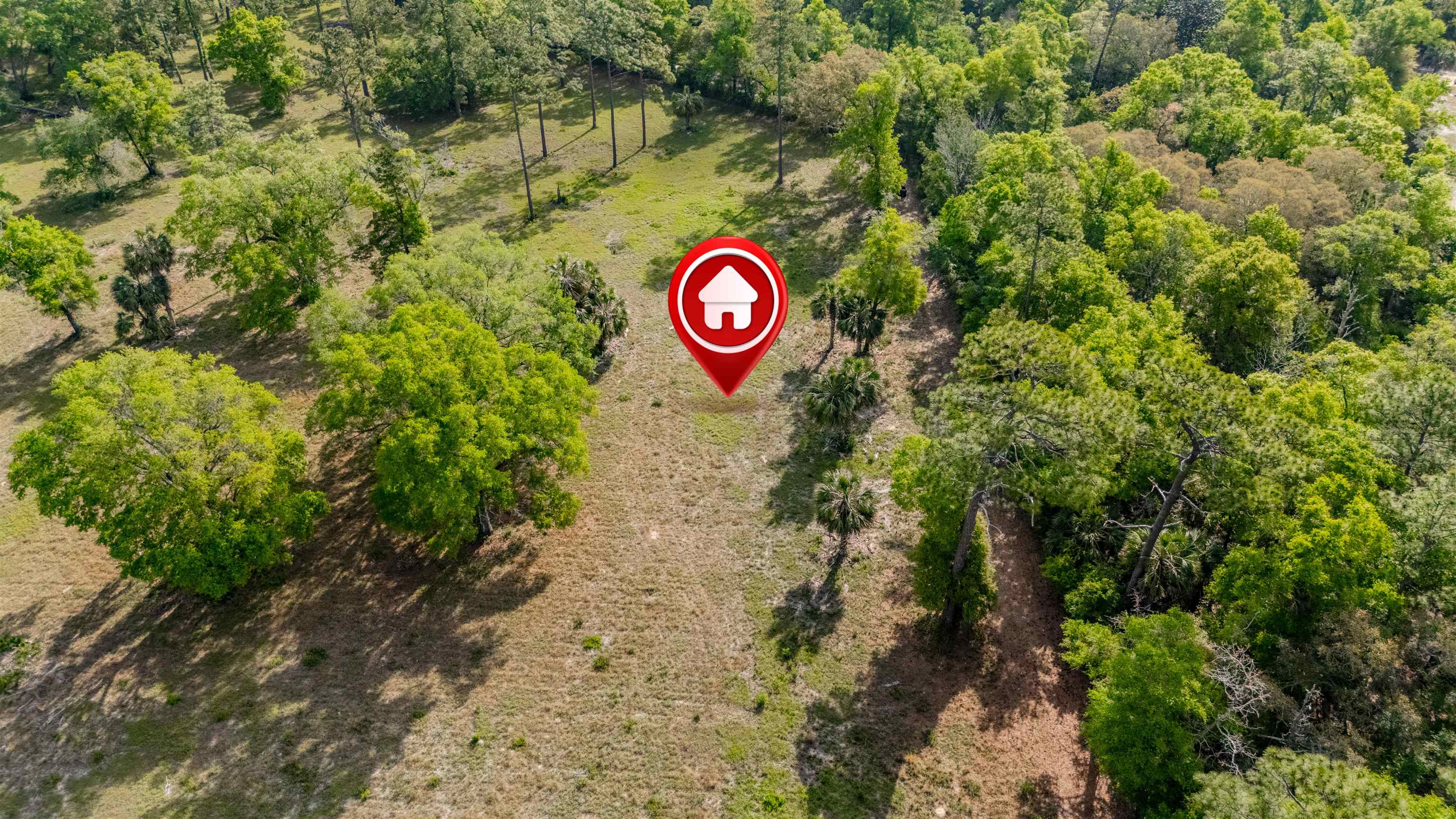 4025 Coastal Highway, Crawfordville, Florida image 13