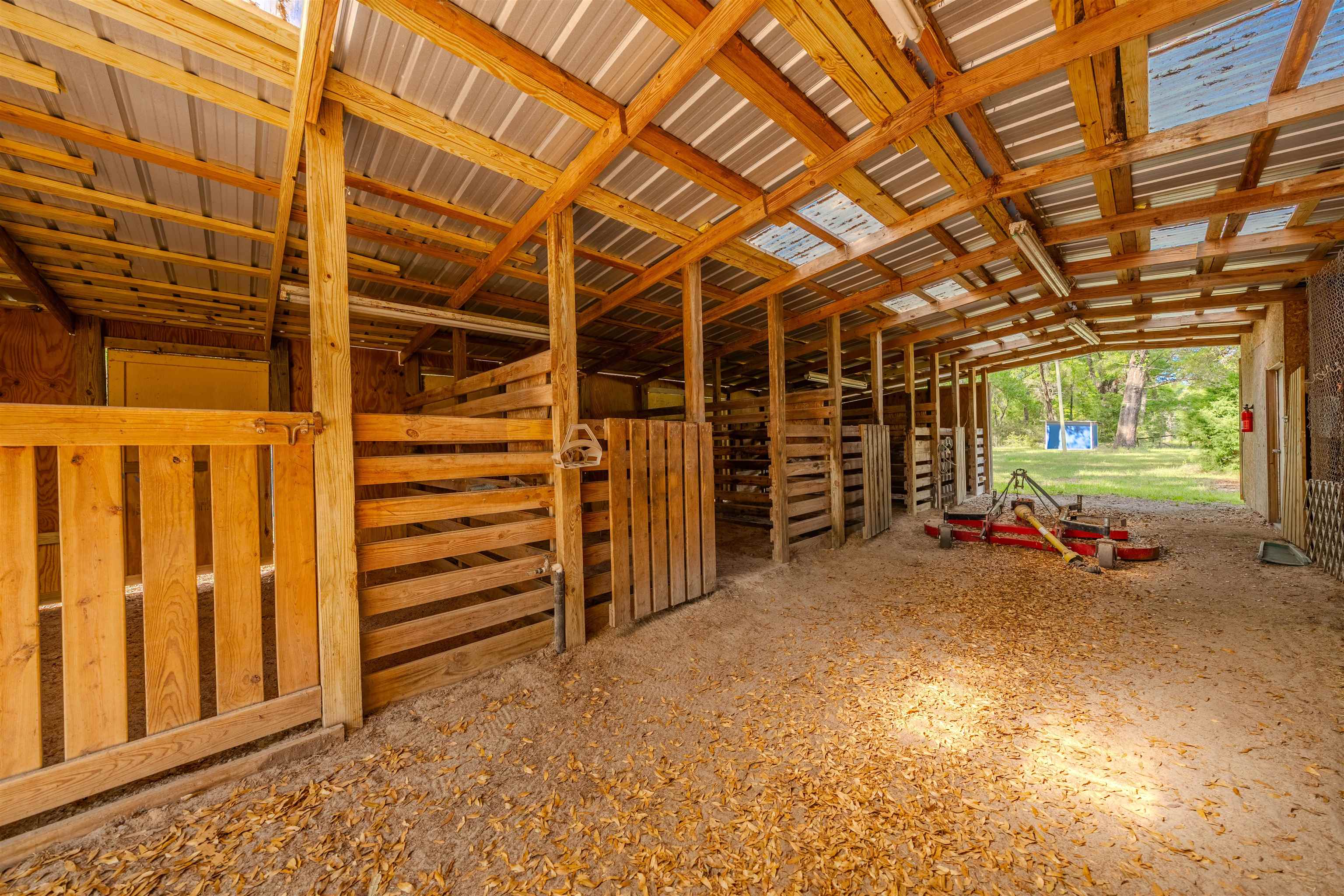 4025 Coastal Highway, Crawfordville, Florida image 6