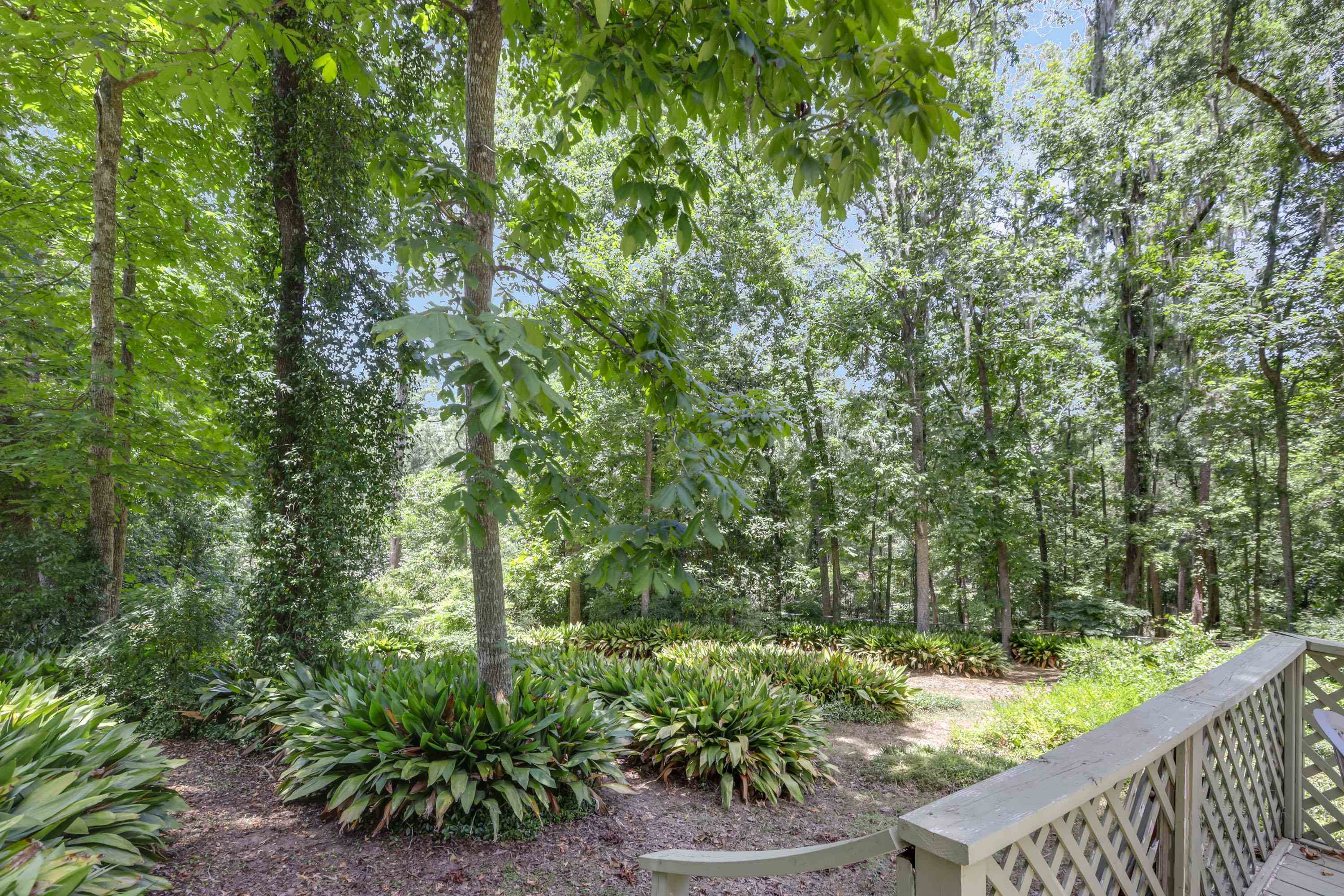 3416 Robinhood Road, Tallahassee, Florida image 6