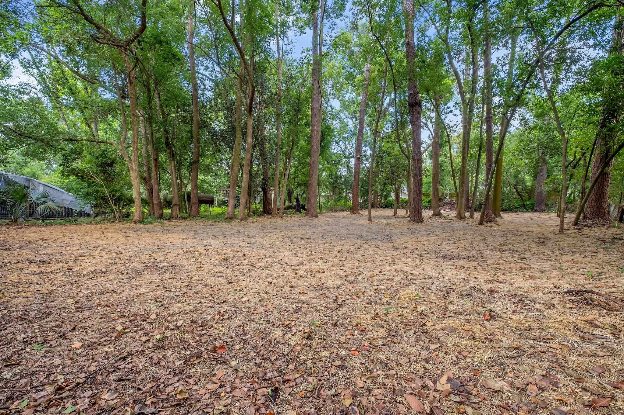 1605 Mayhew Street, Tallahassee, Florida image 18