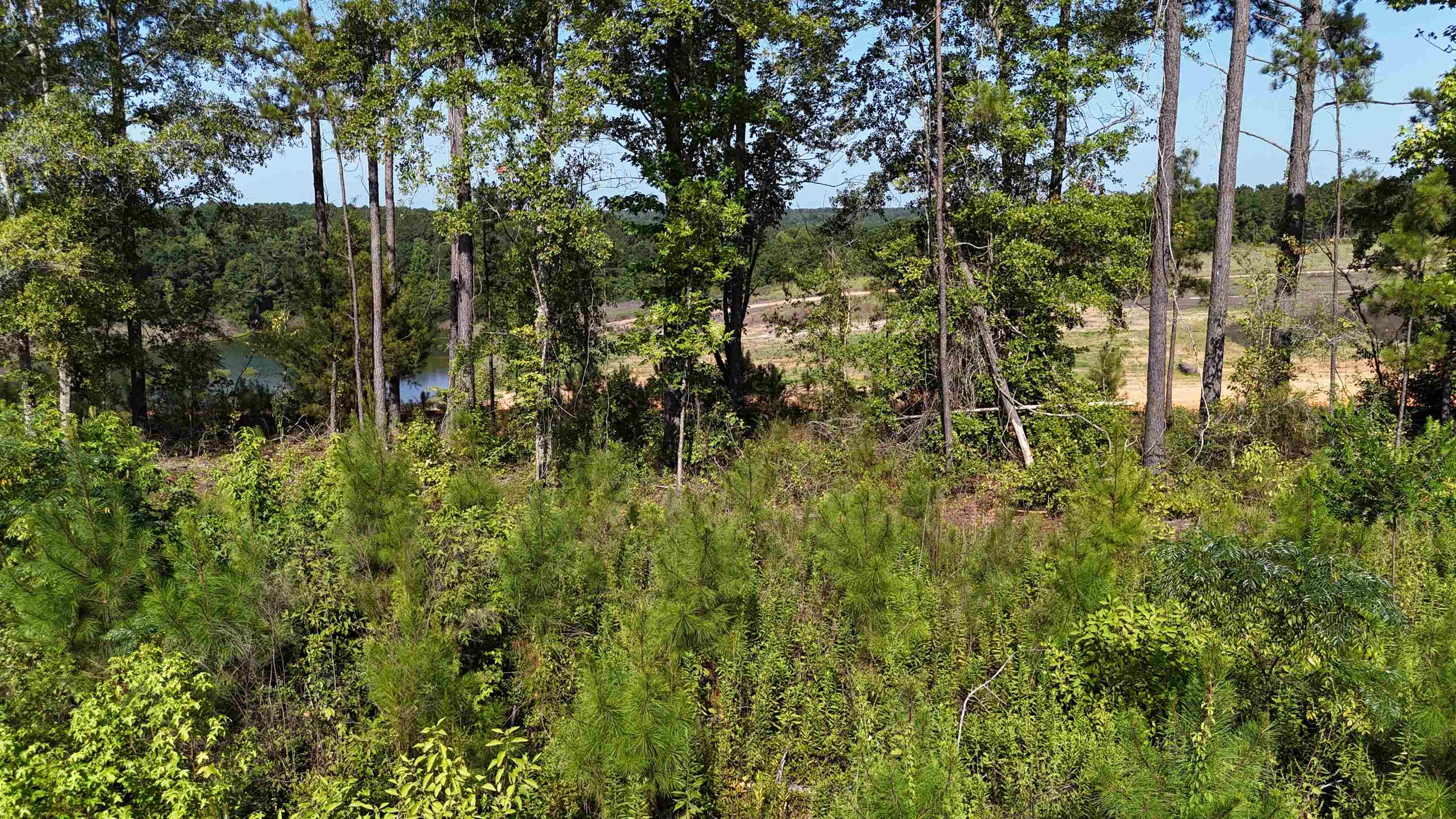 Vacant Attapulgus Highway, Quincy, Florida image 31