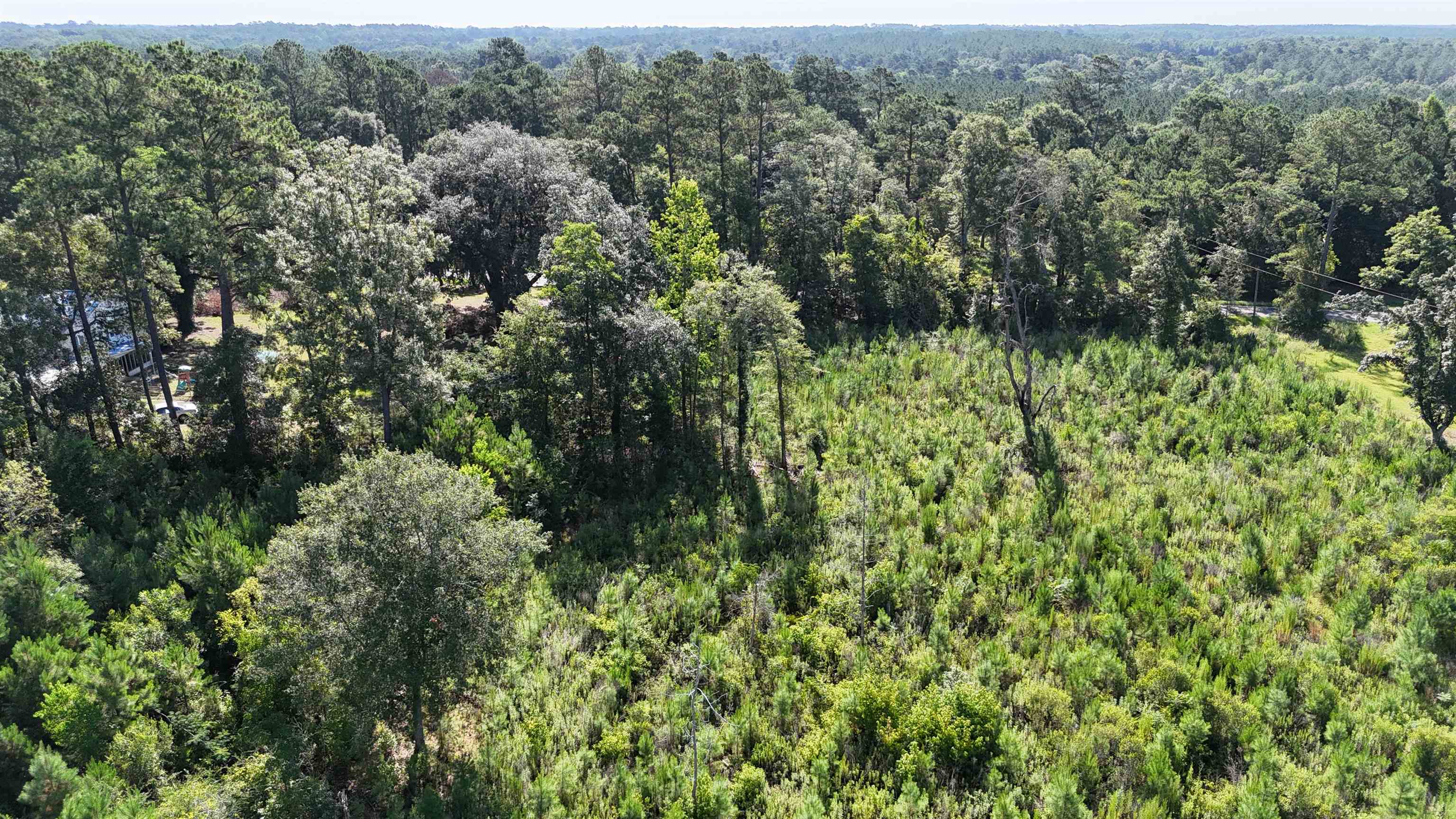 Vacant Attapulgus Highway, Quincy, Florida image 32