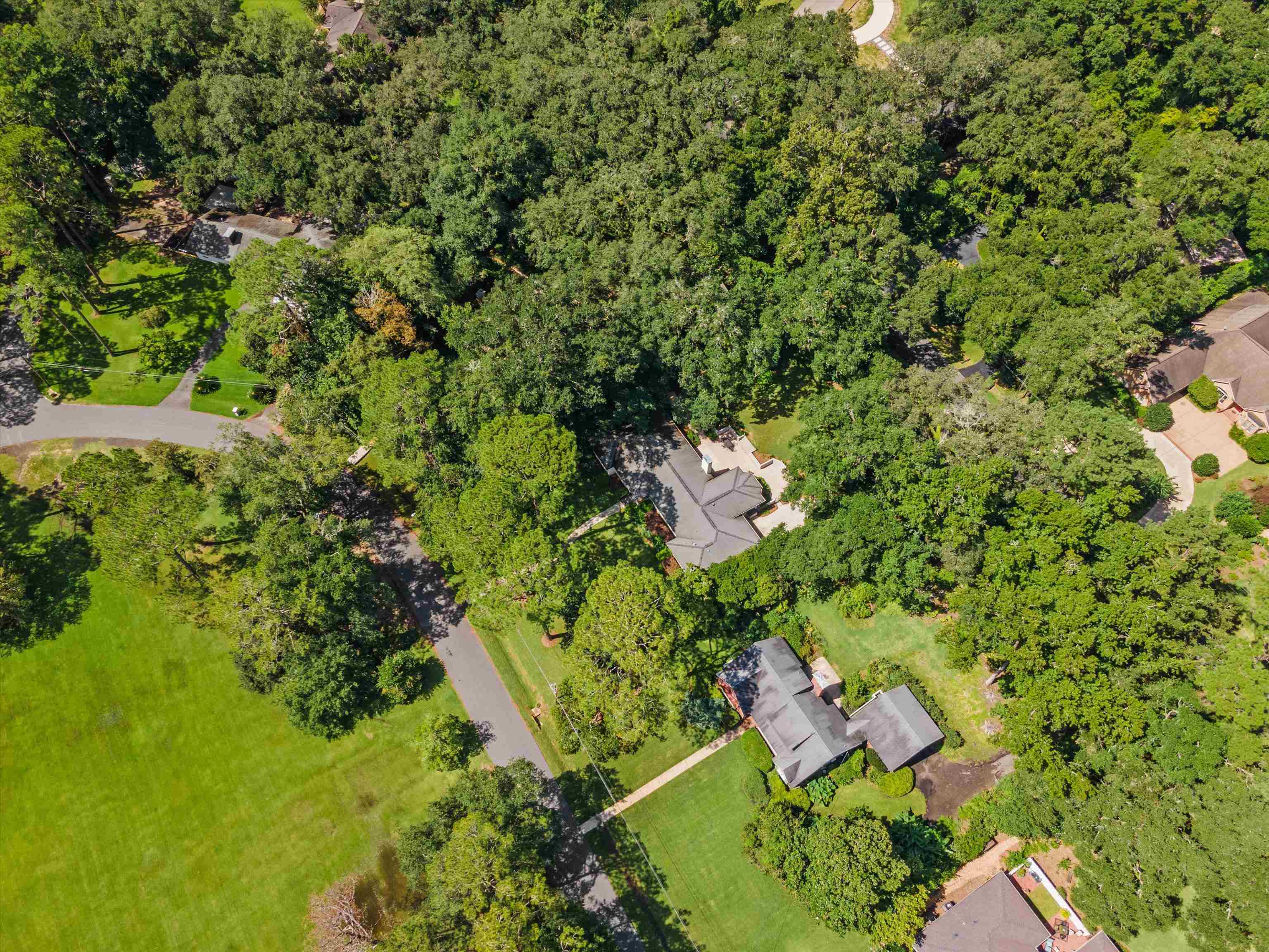 2508 Harriman Circle, Tallahassee, Florida image 47