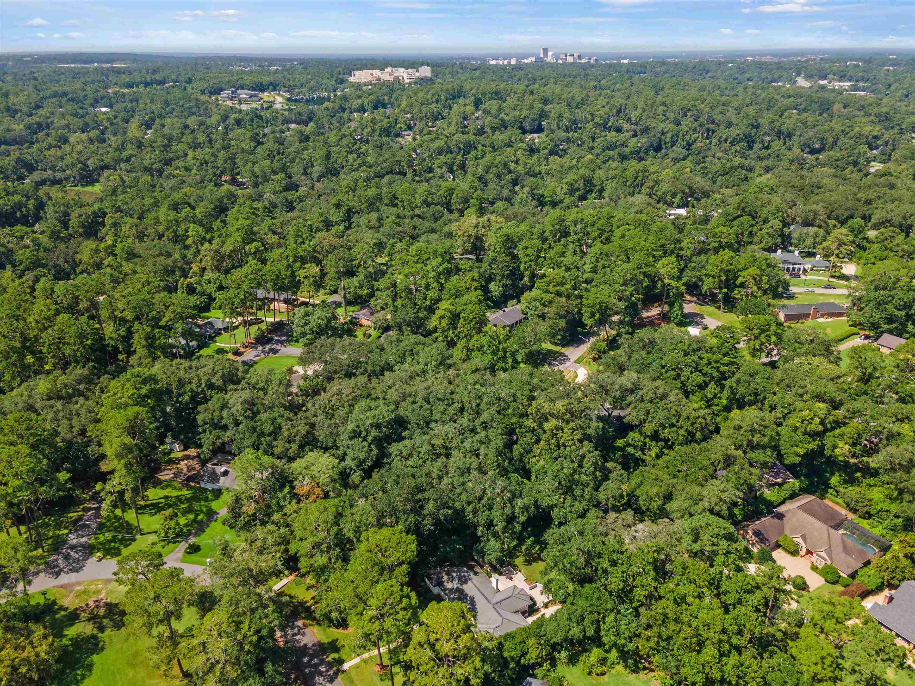 2508 Harriman Circle, Tallahassee, Florida image 48
