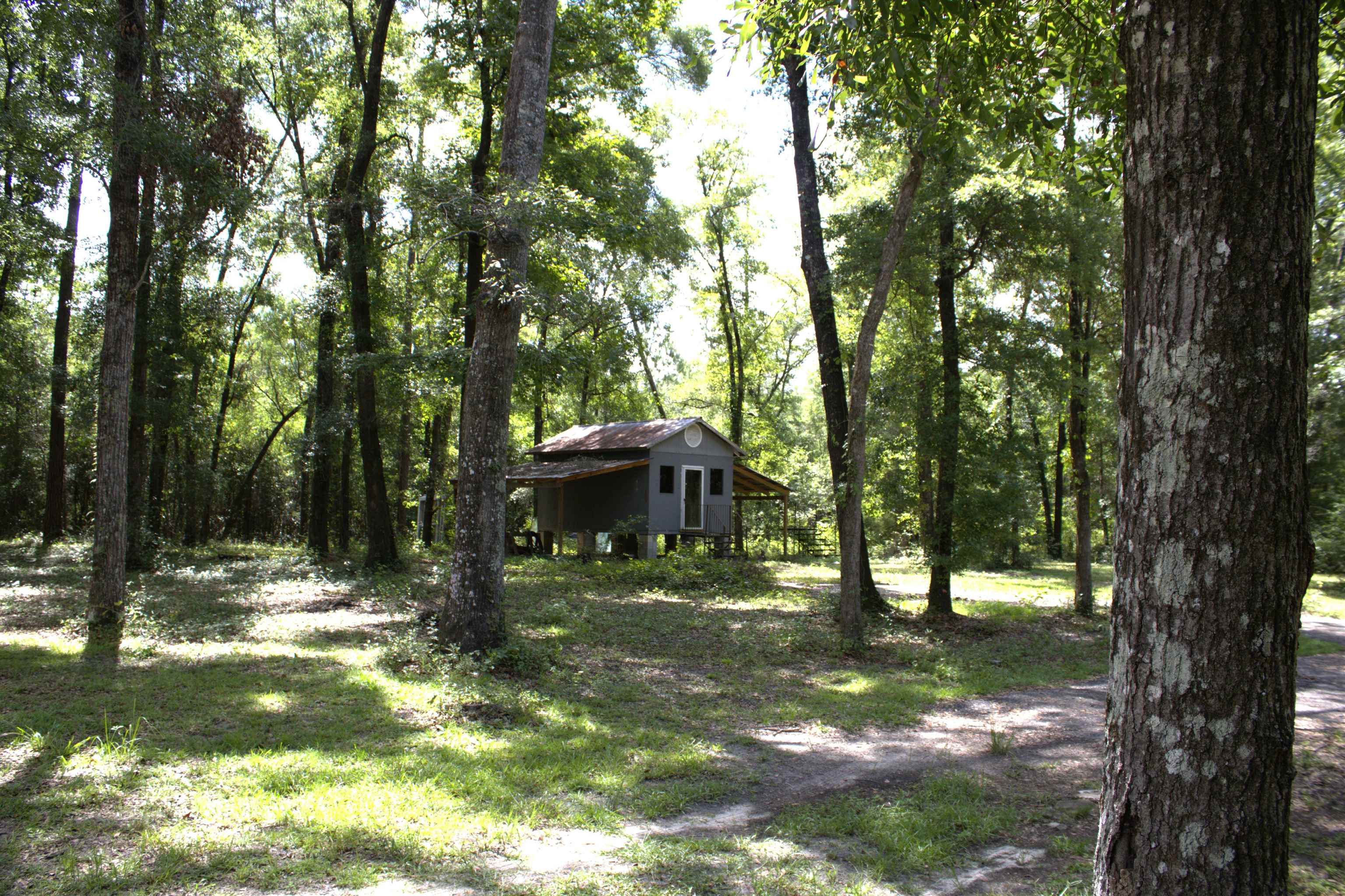 2097 Jo Anne Lane, Tallahassee, Florida image 40