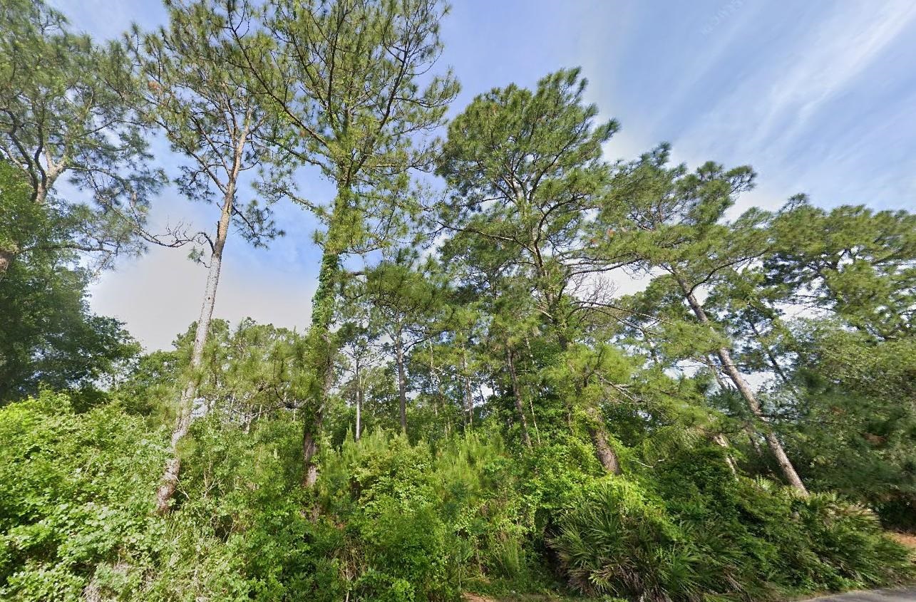 2180 Cortez Road, Jacksonville, Florida image 2
