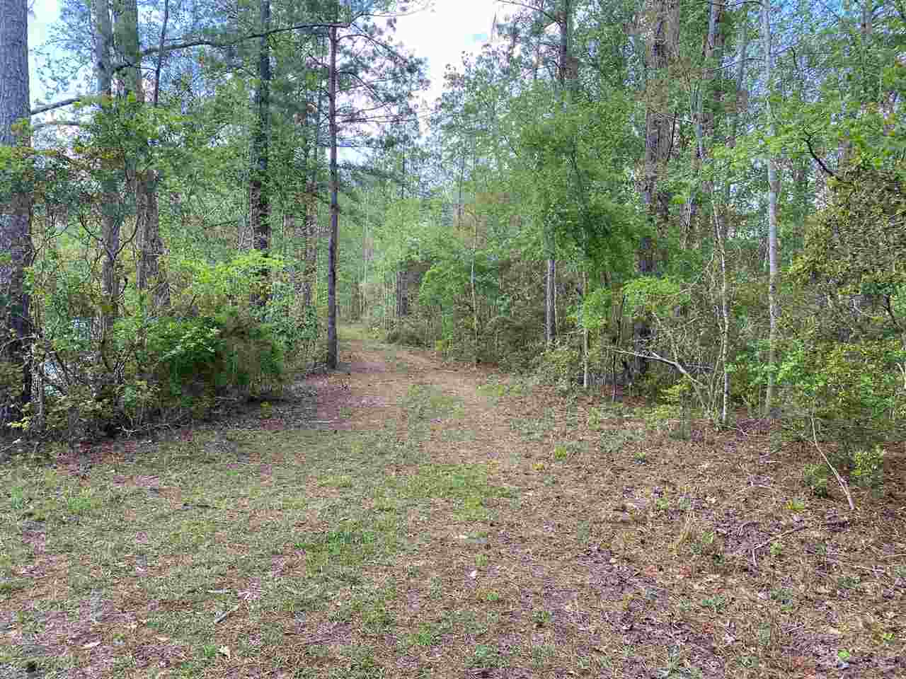 1355 Flat Creek Rd, Chattahoochee, Florida image 4