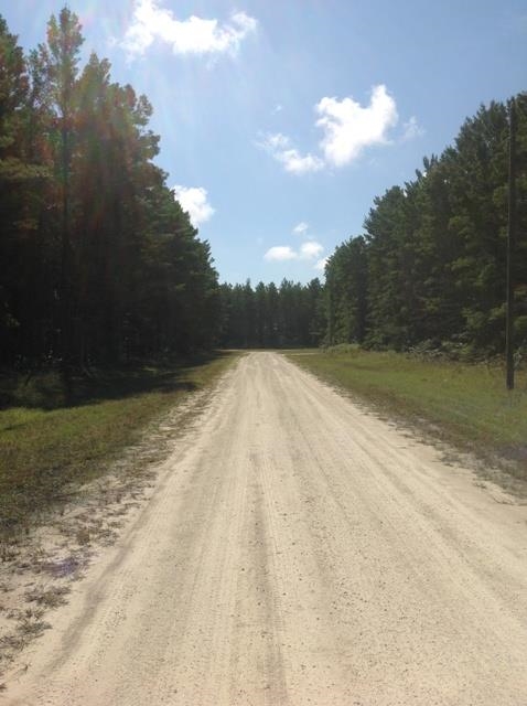 Pam Drive, Crawfordville, Florida image 2