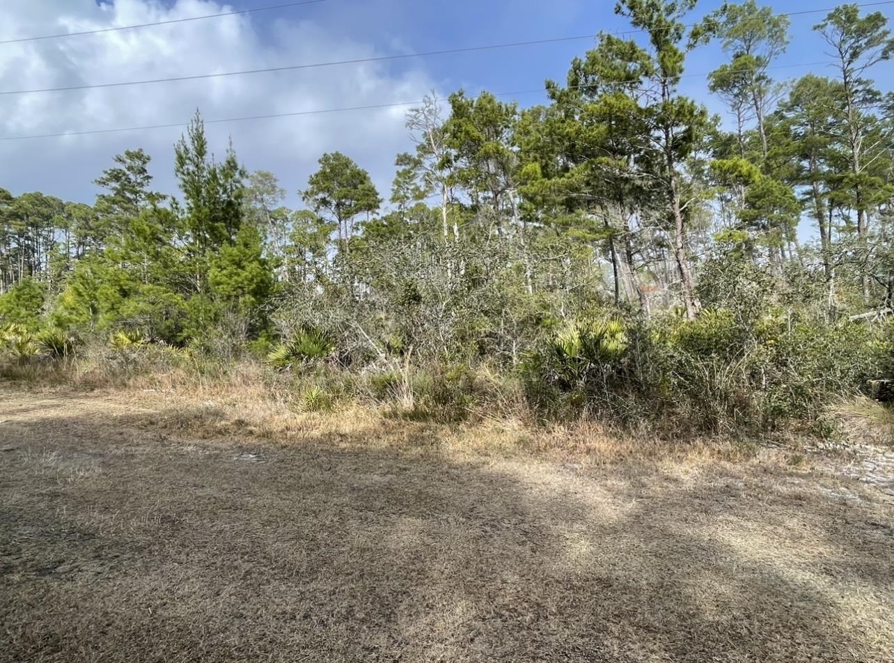 Located in the beautiful town of Carrabelle. This is a one acre lot located within walking distance to the Carrabelle Boat Club and Marina. Public boat launch is on the same street and is at the mouth of the Gulf and the Carrabelle River. Very convenient to beaches, restaurants, shopping and some of the best fishing on the Forgotten Coastline. Bring your plans and builder or we can build to suit. There are 2 additional one acre lots available for purchase.