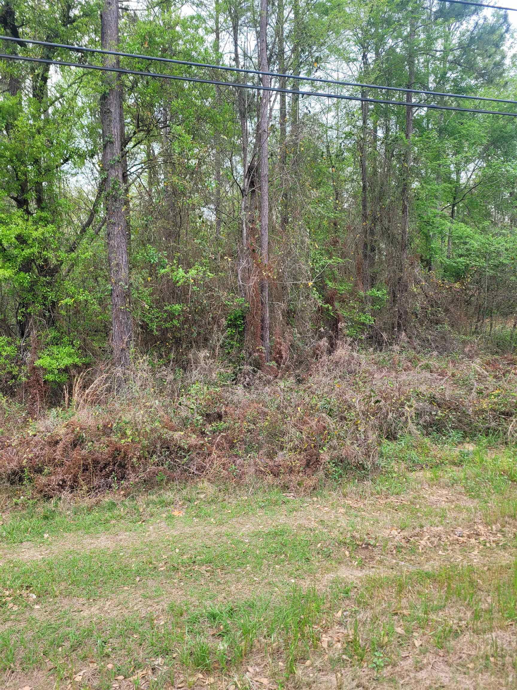 Lot 1 Faceville Highway, OTHER GEORGIA, GA 