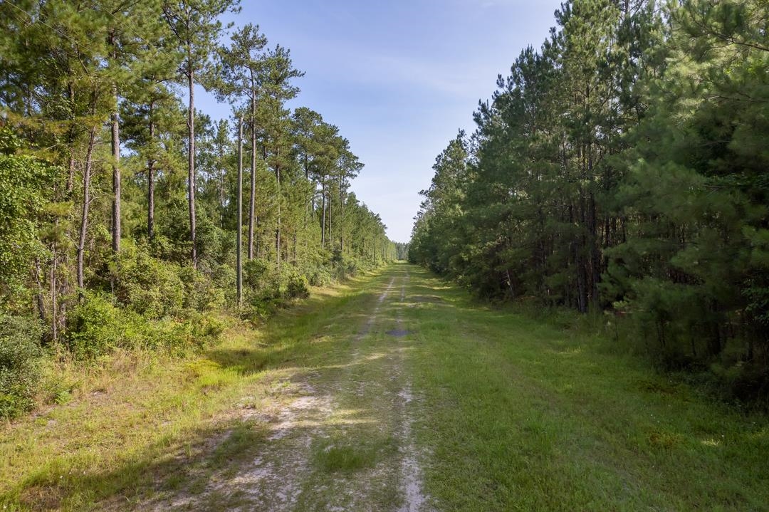 Lot 106 SW Naples Terrace, GREENVILLE, Florida image 1