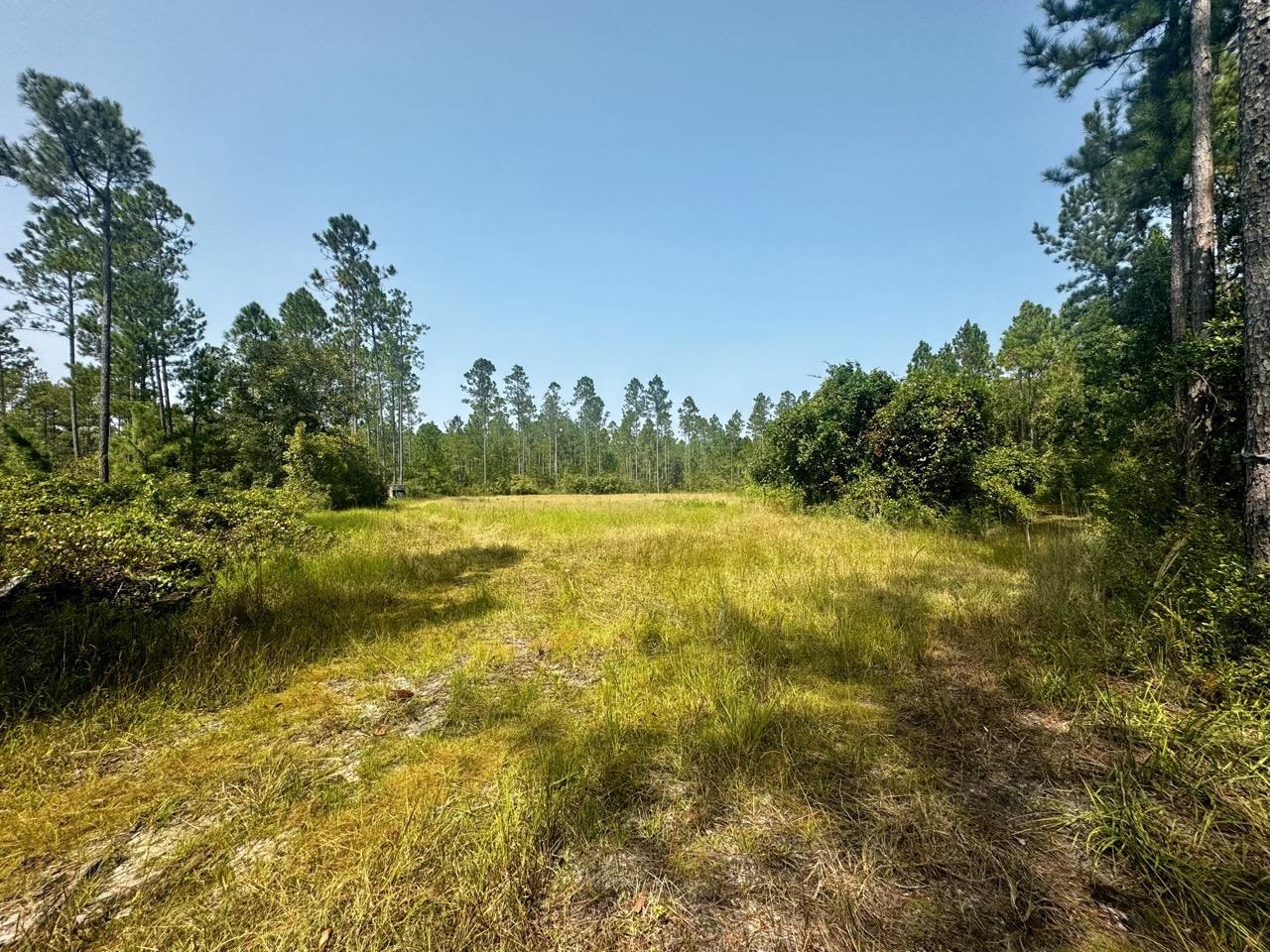 1404 SW Pacific Drive, GREENVILLE, Florida image 9