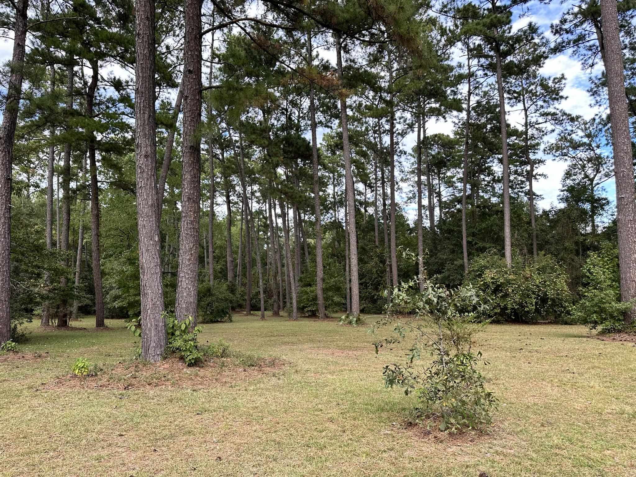 279 Indian Sink Trail, THOMASVILLE, Georgia image 30