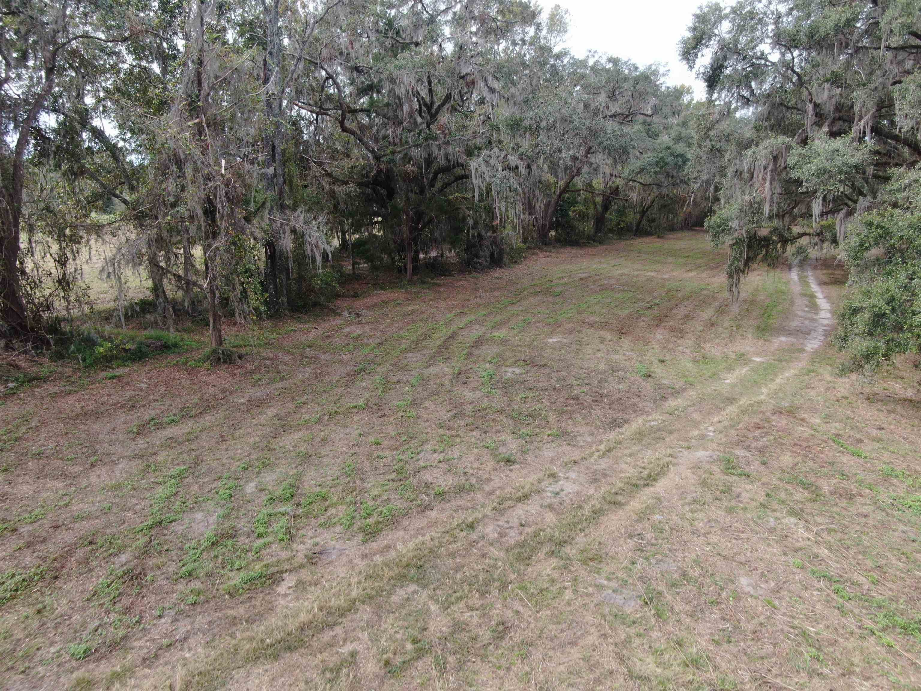 Vacant NW Coachwhip, MADISON, Florida image 10