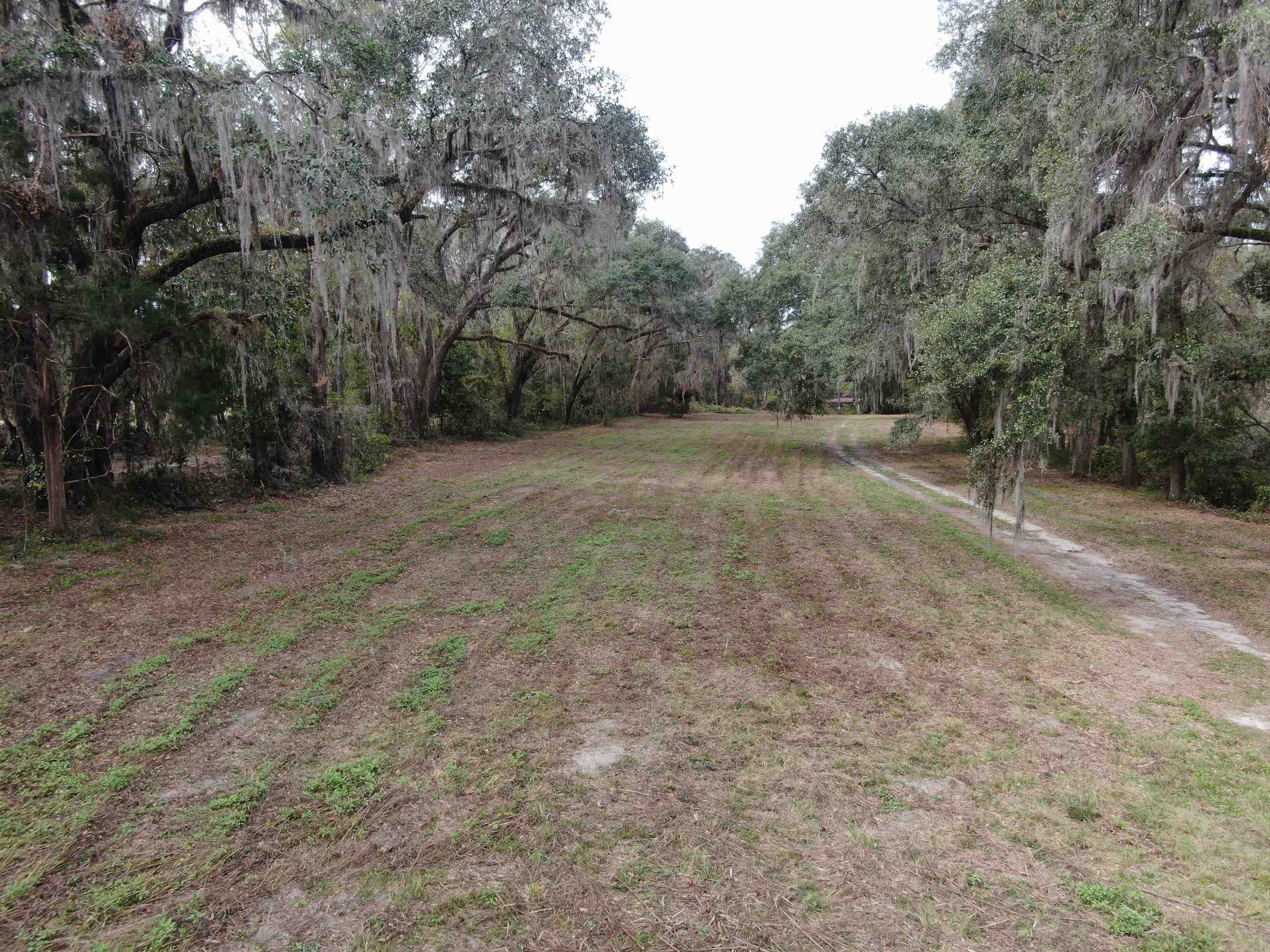 Vacant NW Coachwhip, MADISON, Florida image 11