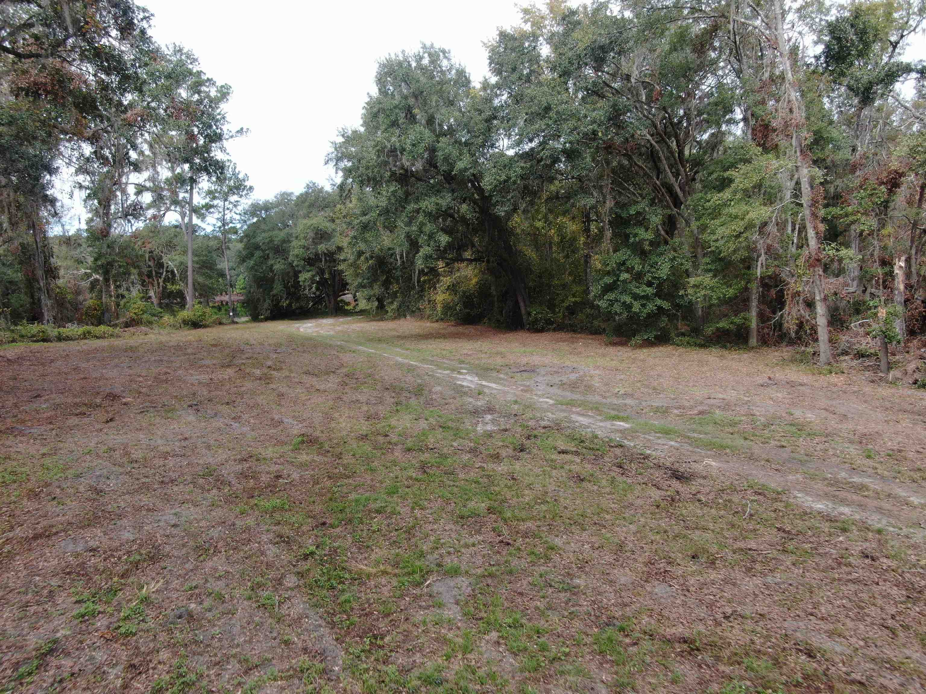 Vacant NW Coachwhip, MADISON, Florida image 12