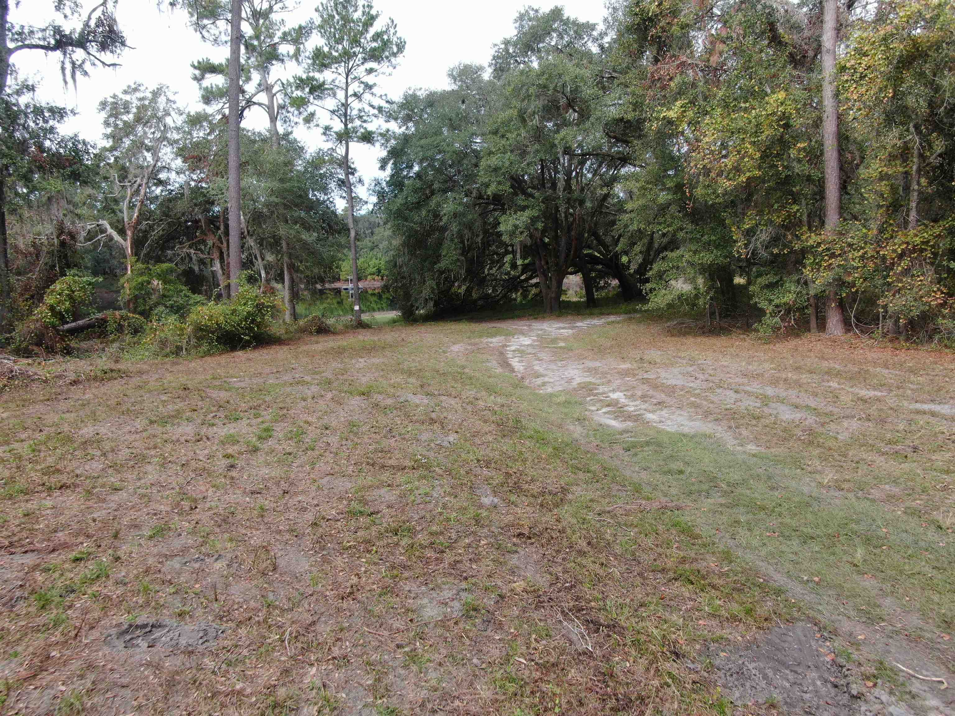 Vacant NW Coachwhip, MADISON, Florida image 13