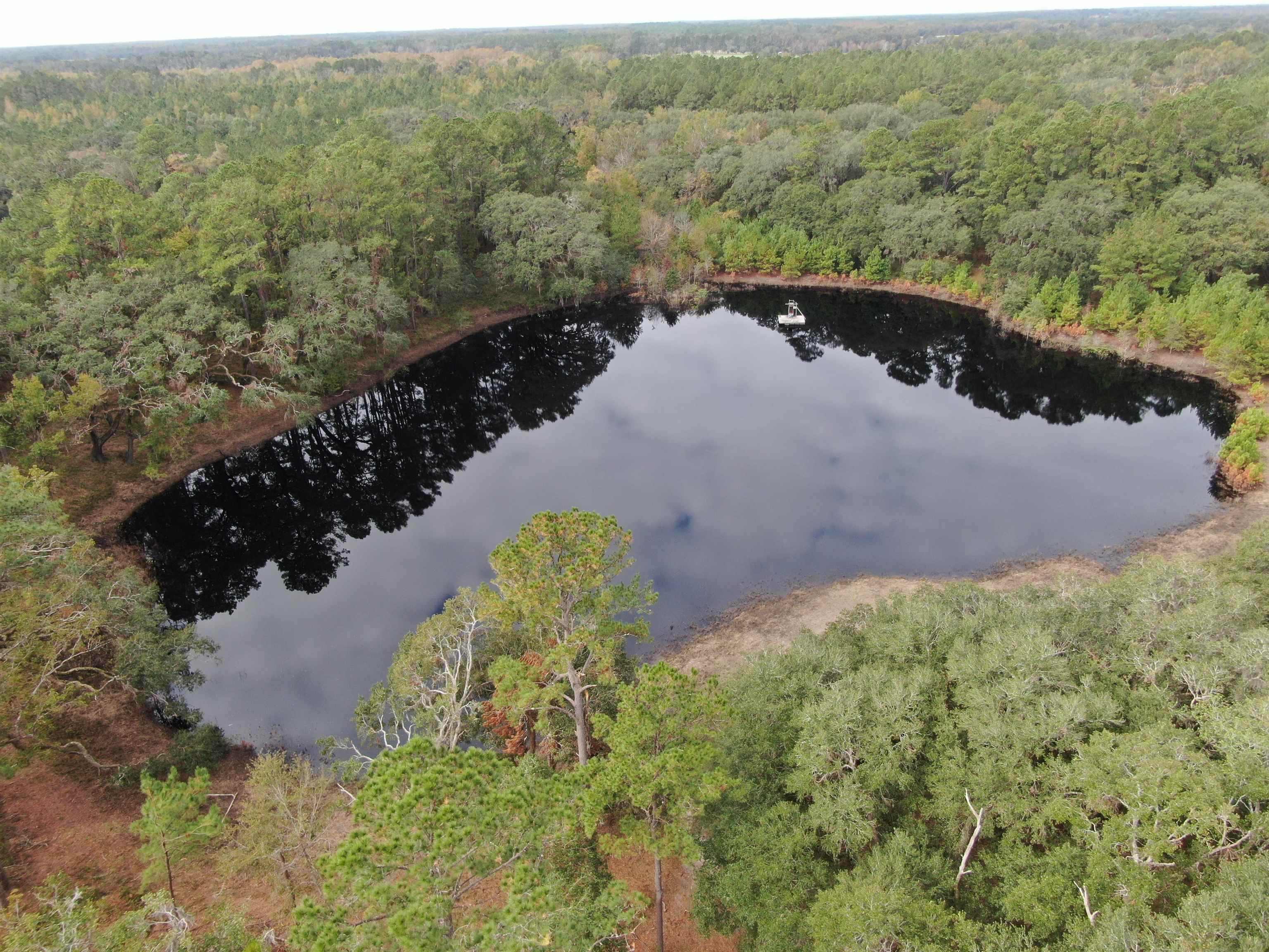 Vacant NW Coachwhip, MADISON, Florida image 14