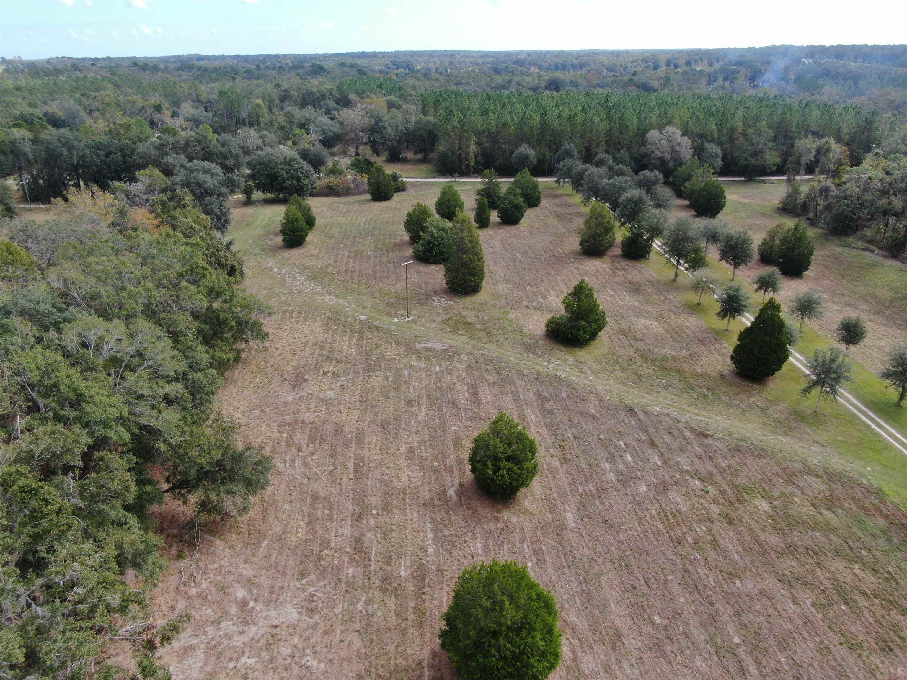 Vacant NW Coachwhip, MADISON, Florida image 15